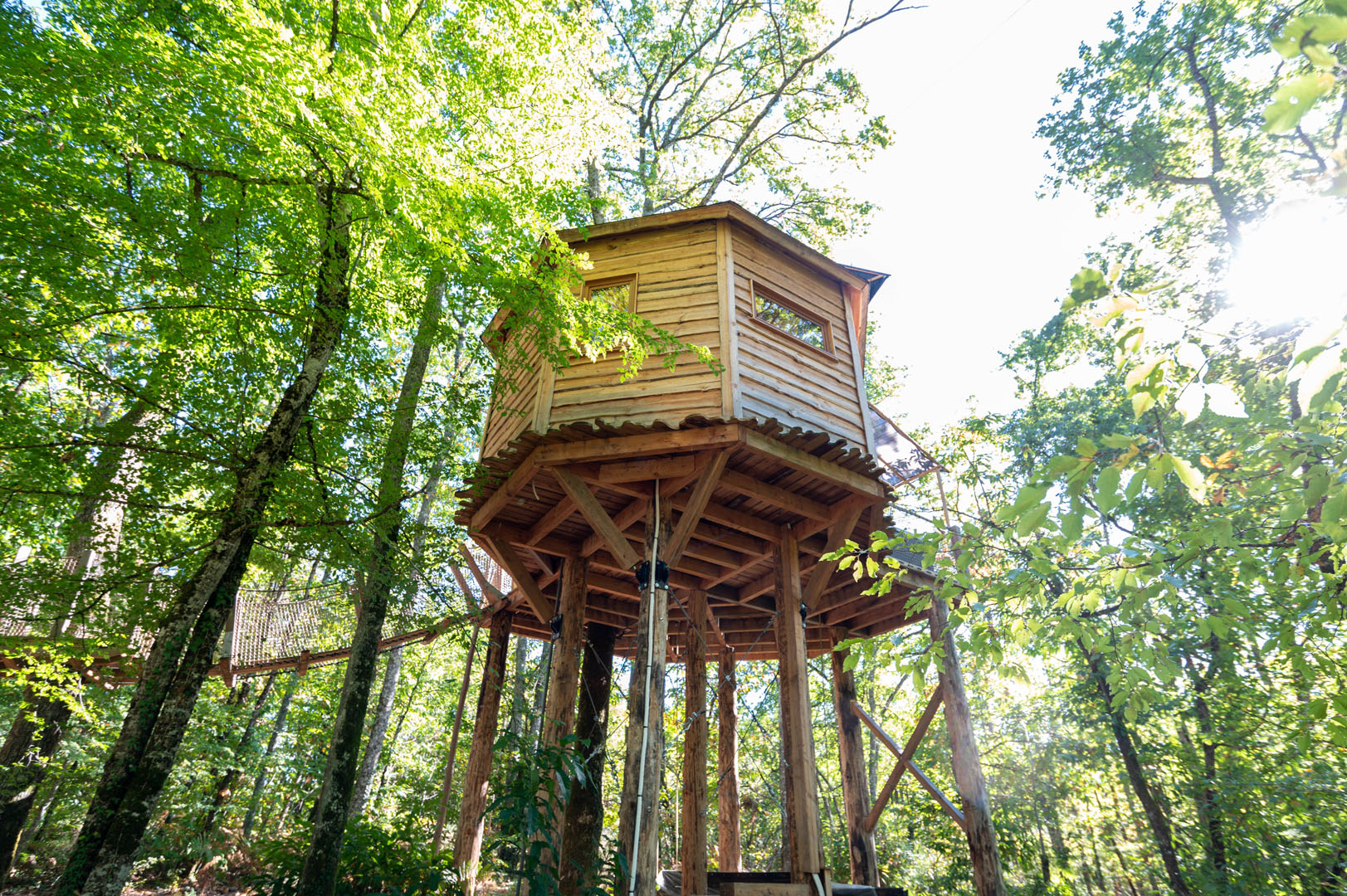 Nid'en'Ô Les Cabanes dans les Arbres, Lamothe-Fénelon - photo 3