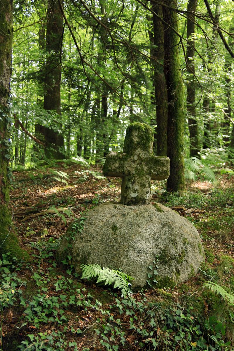 Comiac VD12 -Lac de vergnes.Comiac.Croix vers le hameau de Proupech©M.Légeron