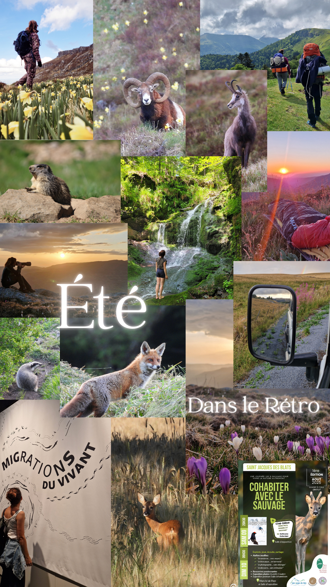 My Pause Nature, Montet-et-Bouxal - photo 4