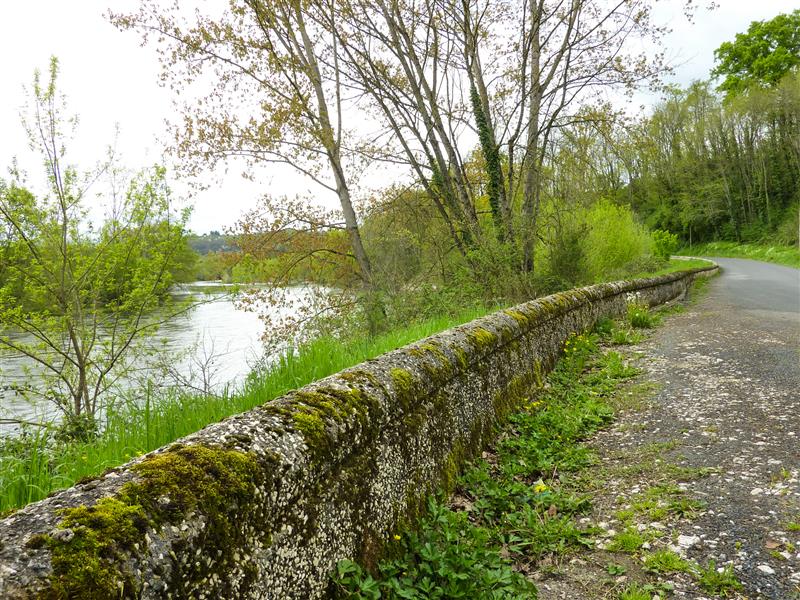 Creysse - Balade sur les berges de la Dordogne © Lot Tourisme - C. Sanchez