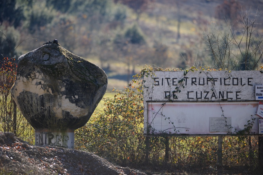 Marché aux truffes de Cuzance, Cuzance - photo 4