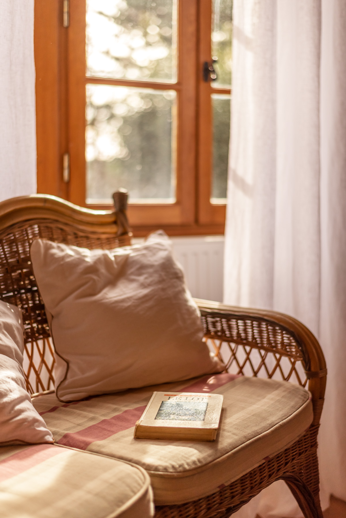 La Garenne, Carnac-Rouffiac - photo 18