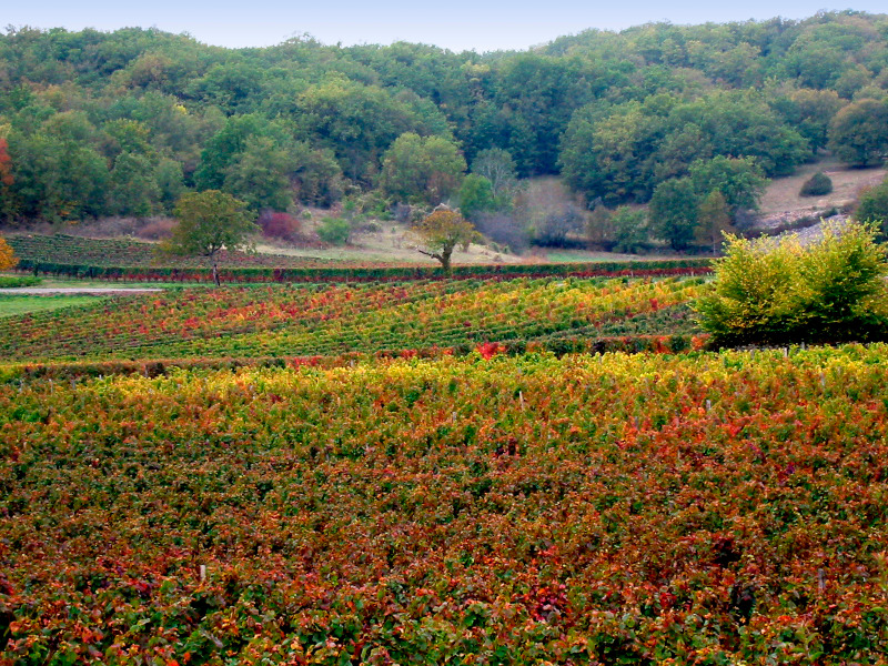 Châteaux et Eglises du Vignoble de Cahors