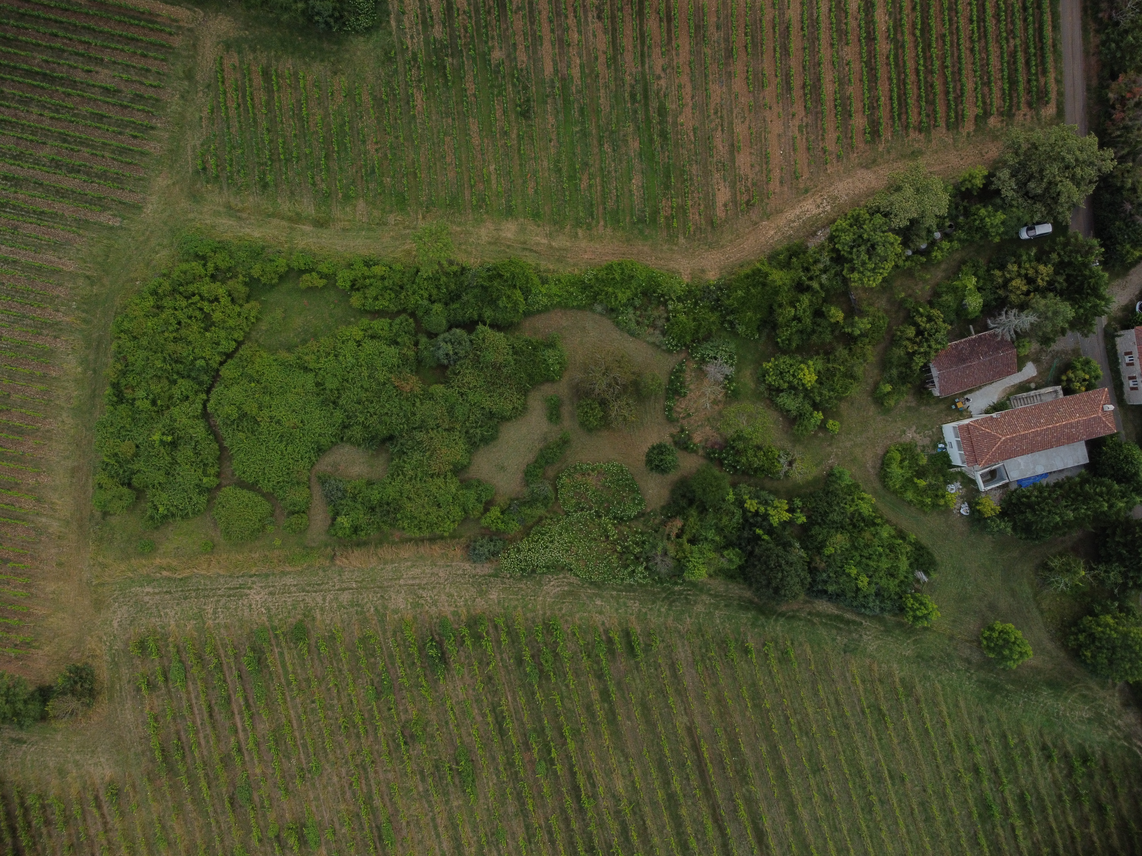 Les Jardins de Lumière, Floressas - photo 27