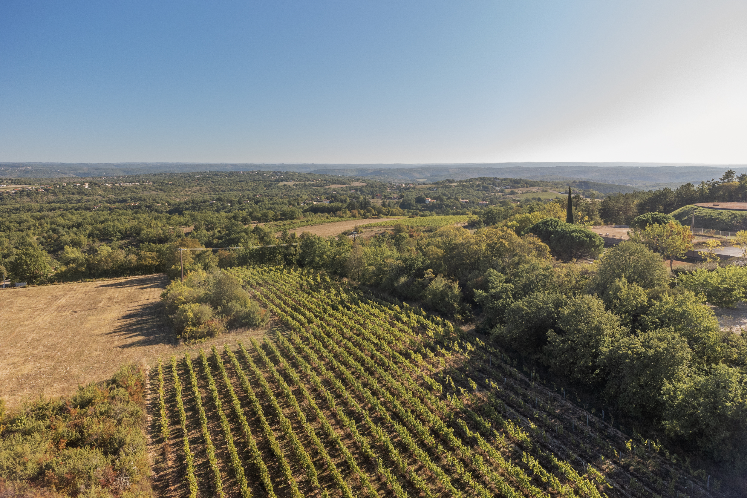 Domaine La Calmette — photo 2