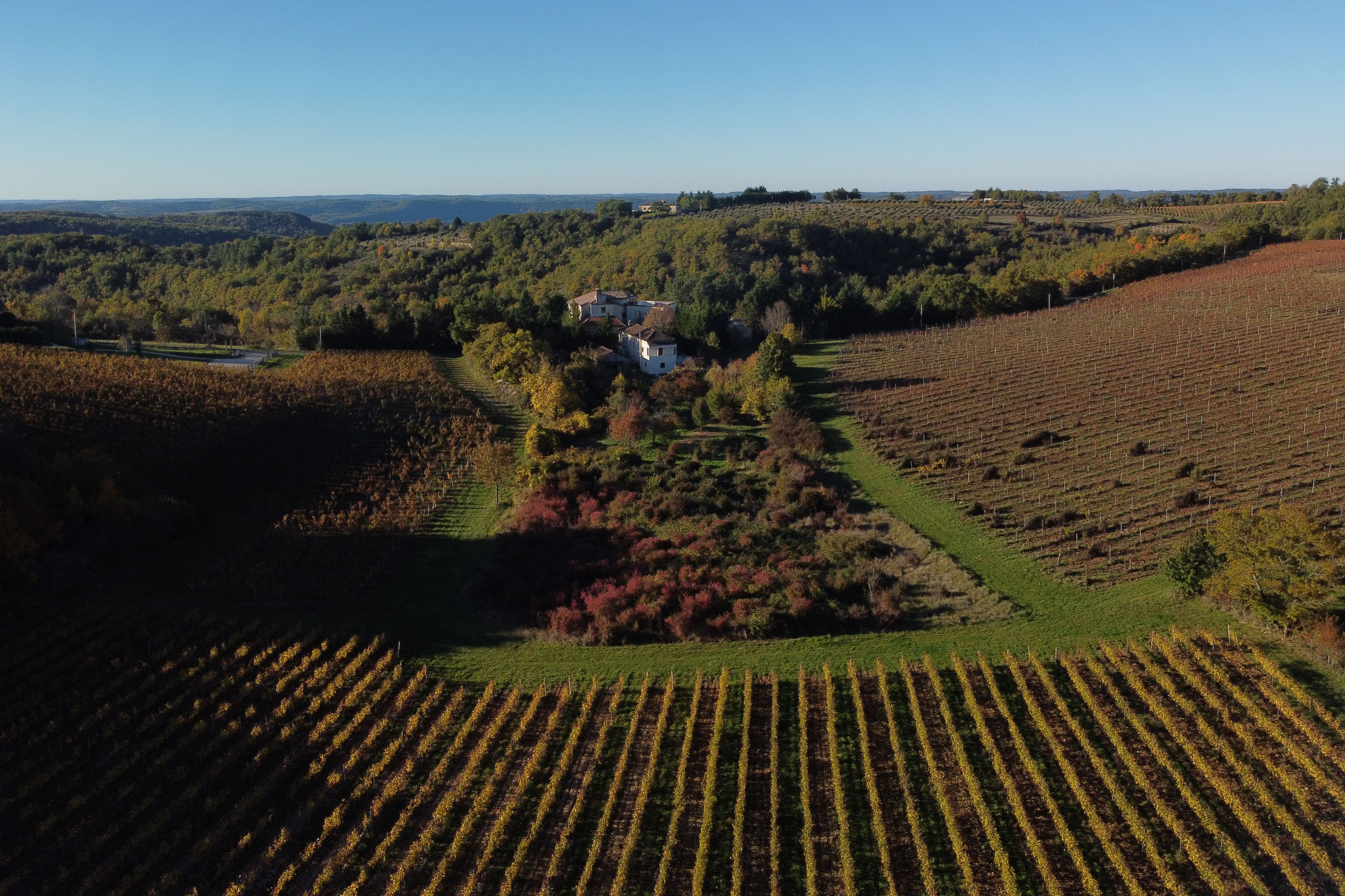 Les Jardins de Lumière, Floressas - photo 28