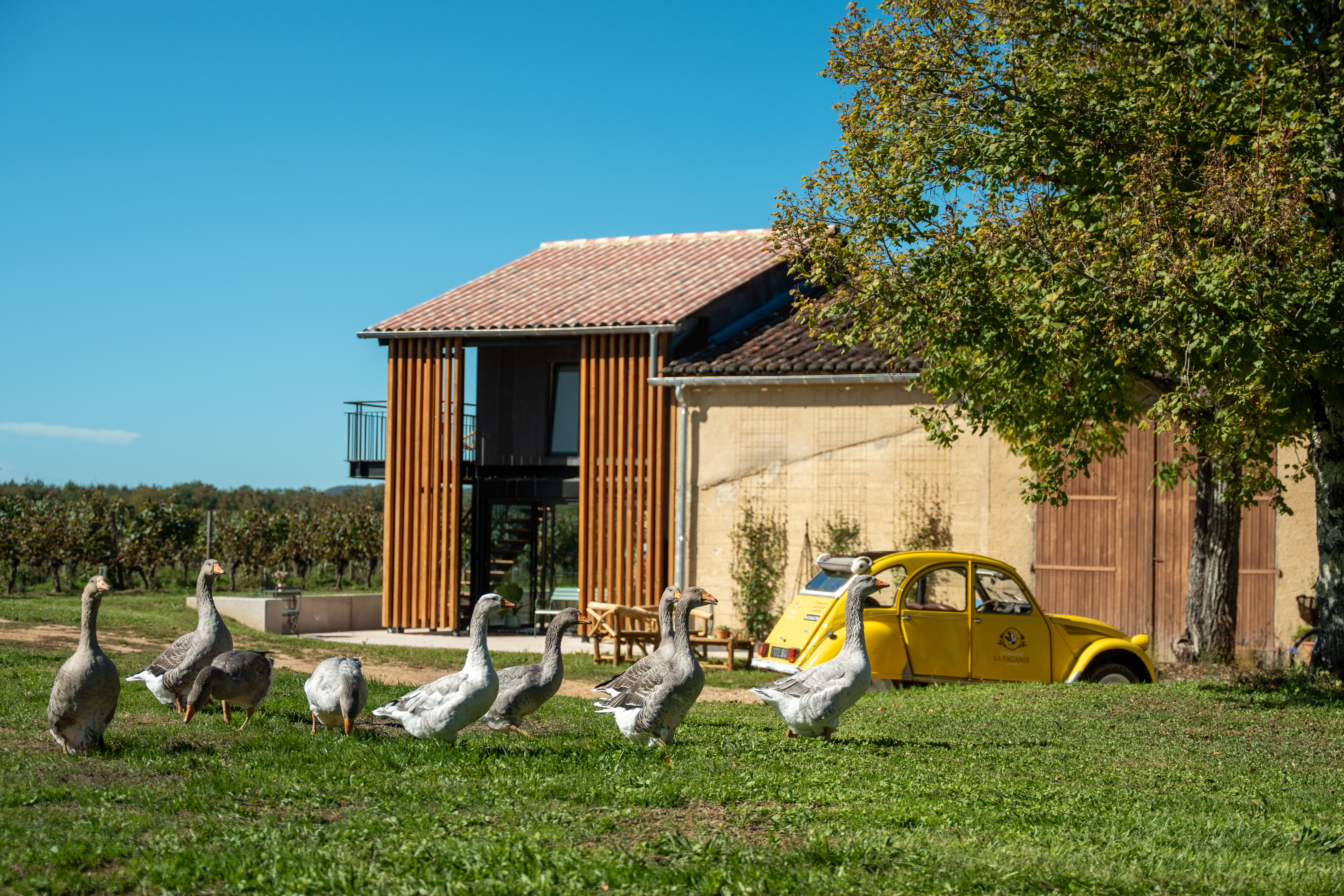 Balade en 2CV au cœur du vignoble de Cahors, Puy-l'Évêque - photo 5