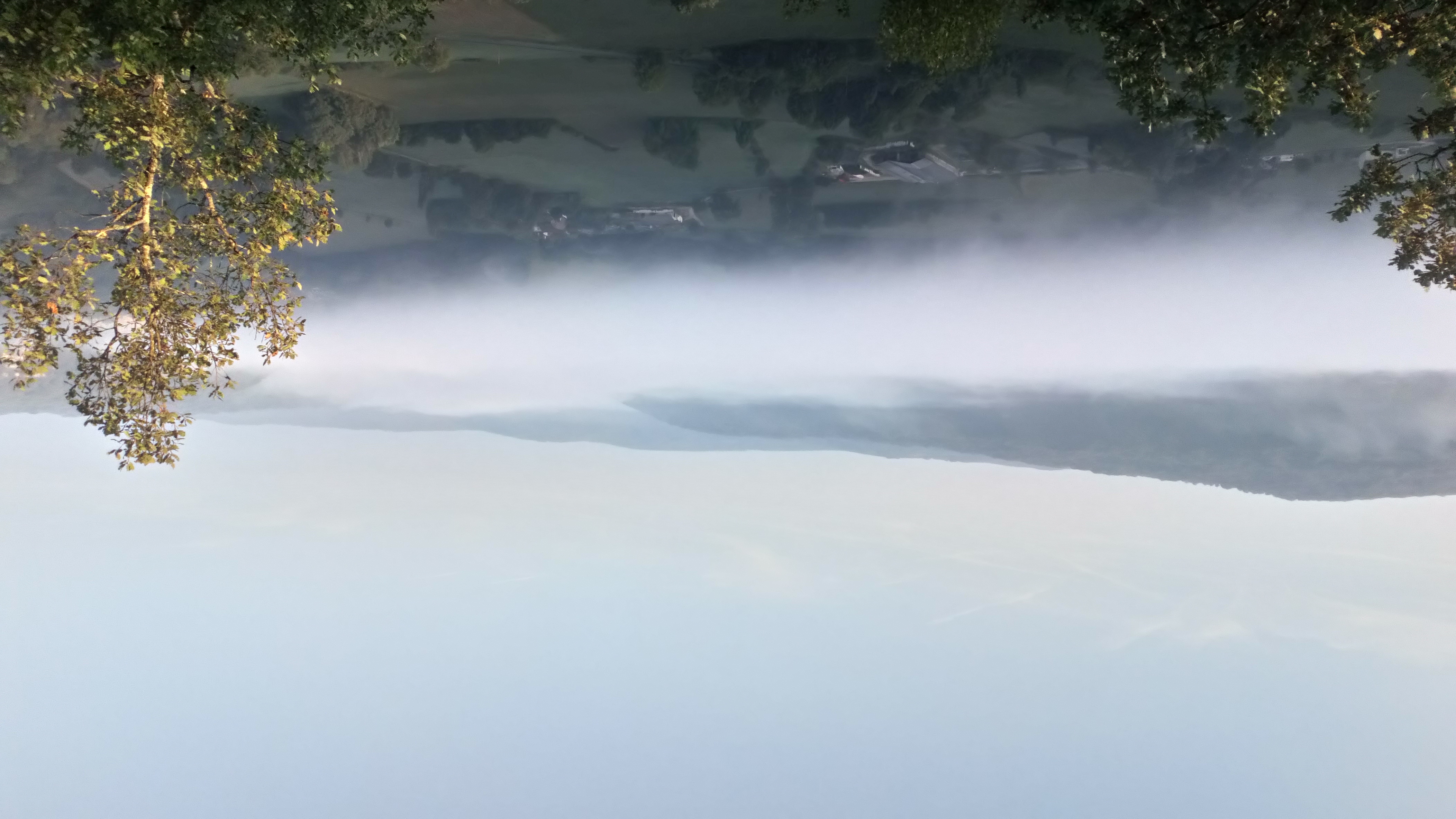 L'Atypique, Corn - photo 4