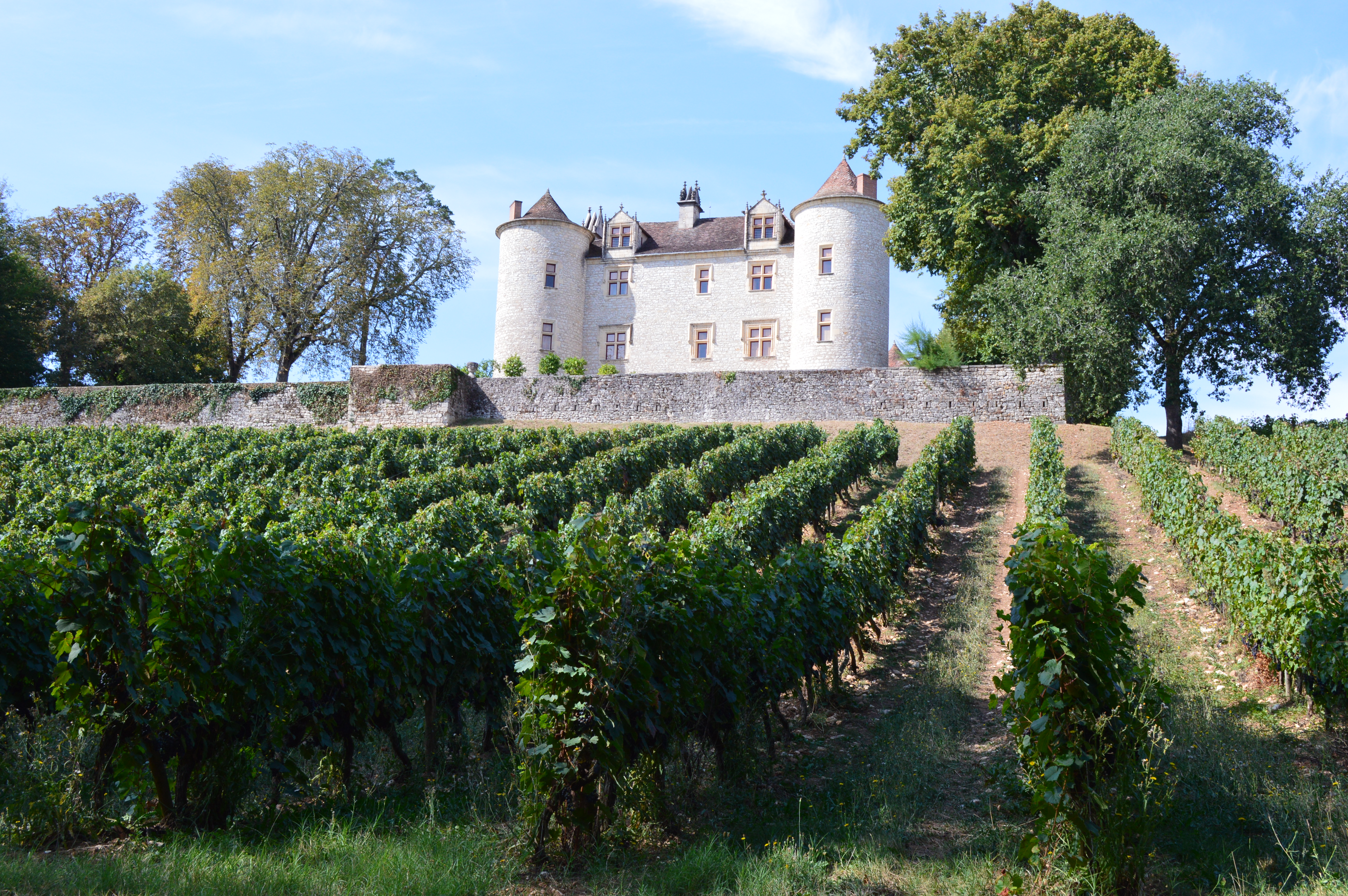 Château Lagrézette — photo 3