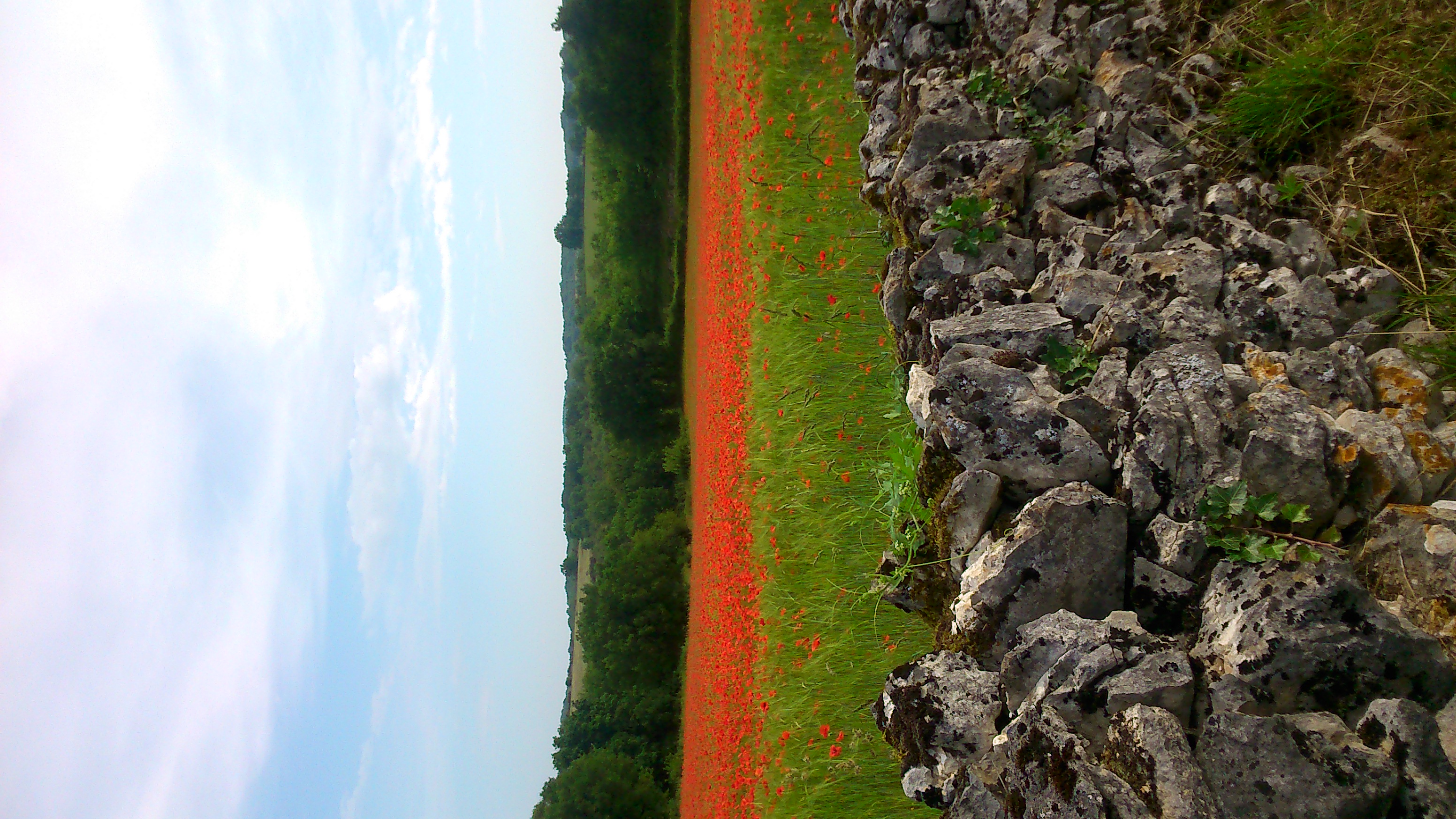 Aire de Pique-Nique et Camping Car à Orniac - photo 2