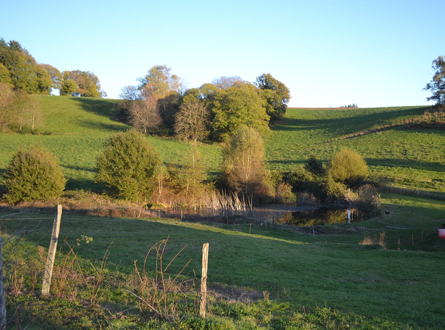 Fournil du Bois de Lafon, Frayssinhes - photo 8