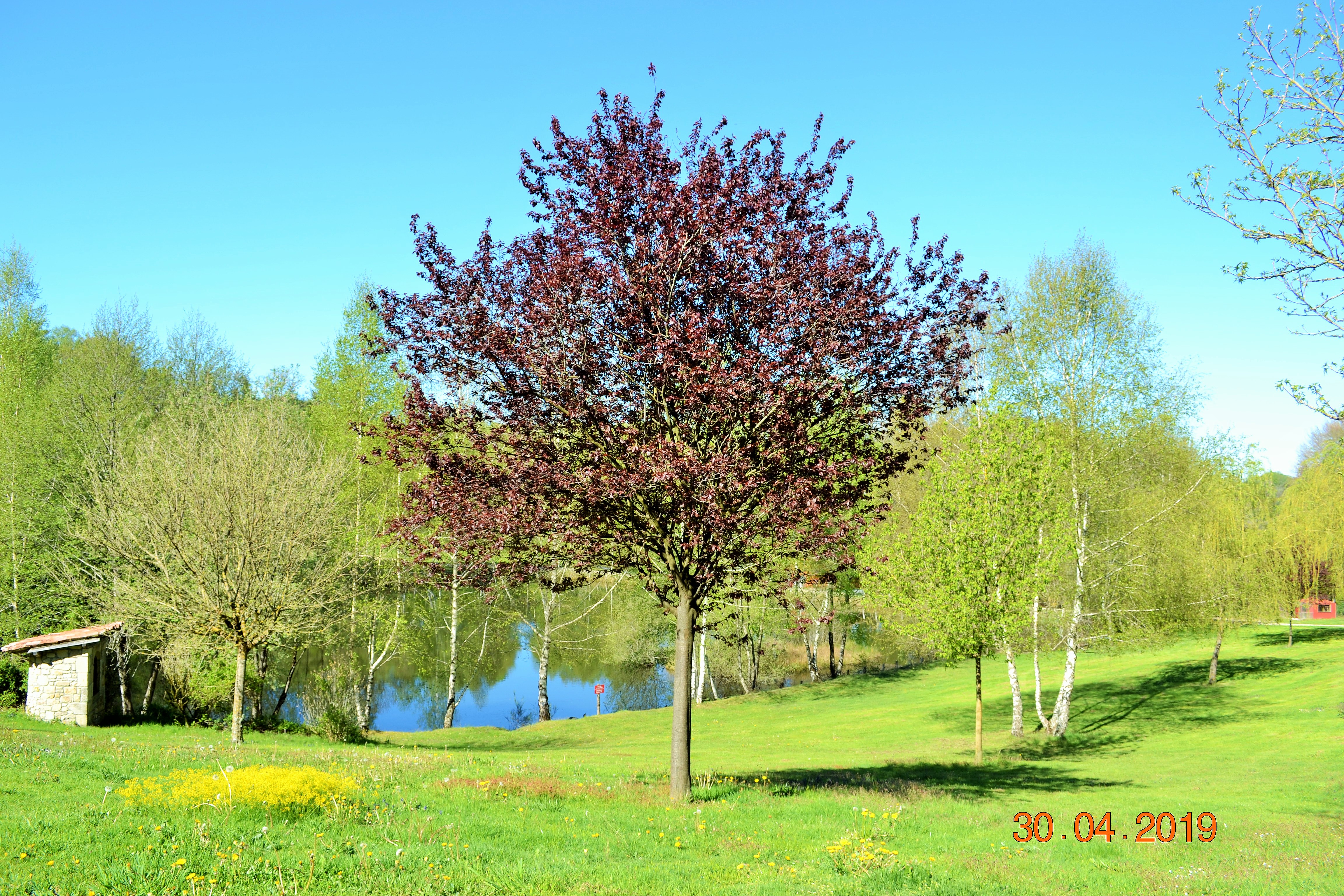 Gîte du Bois du Château - Meublé 1, Latronquière - photo 8