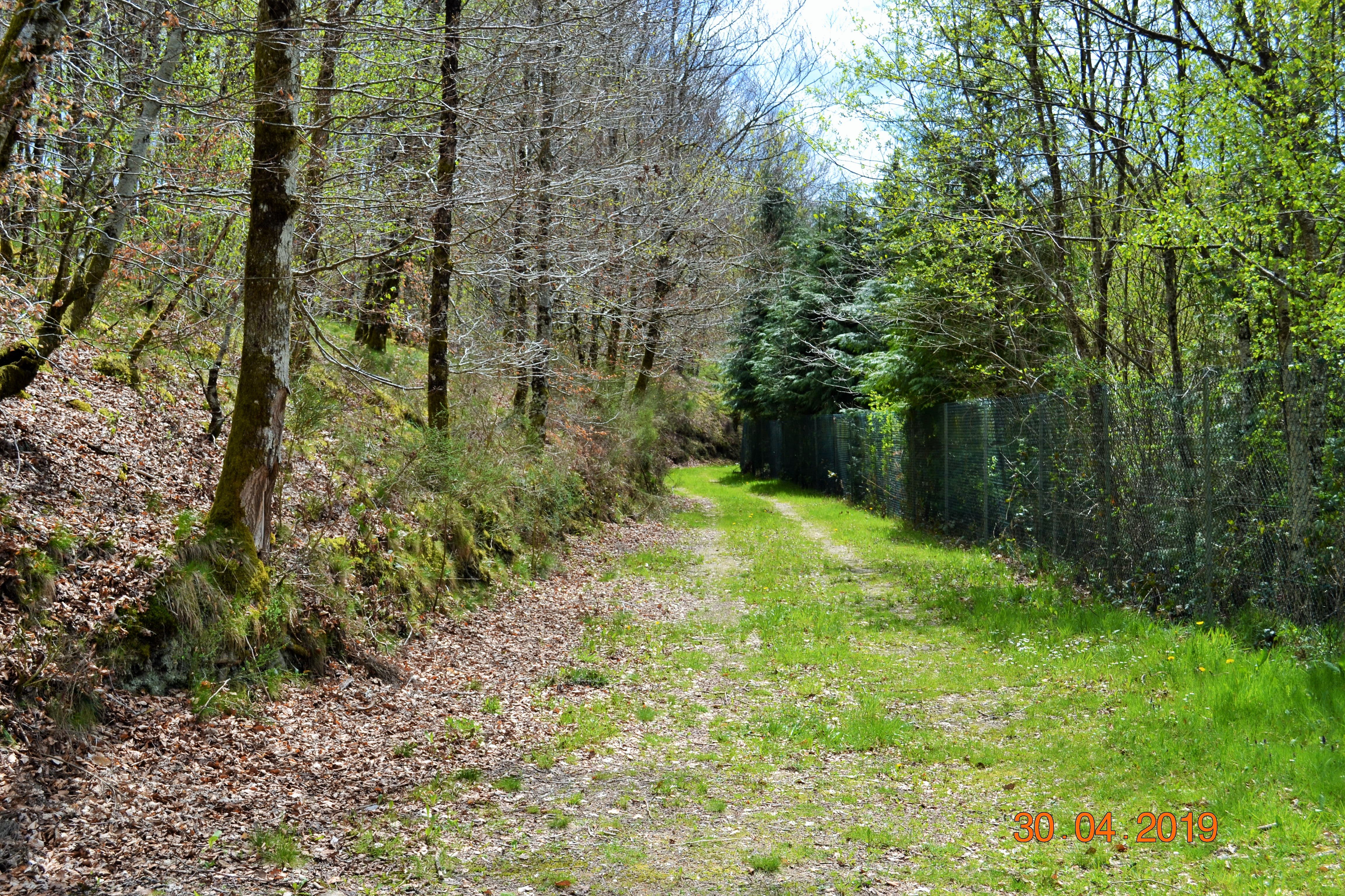 Gîte du Bois du Château - Meublé 1, Latronquière - photo 12