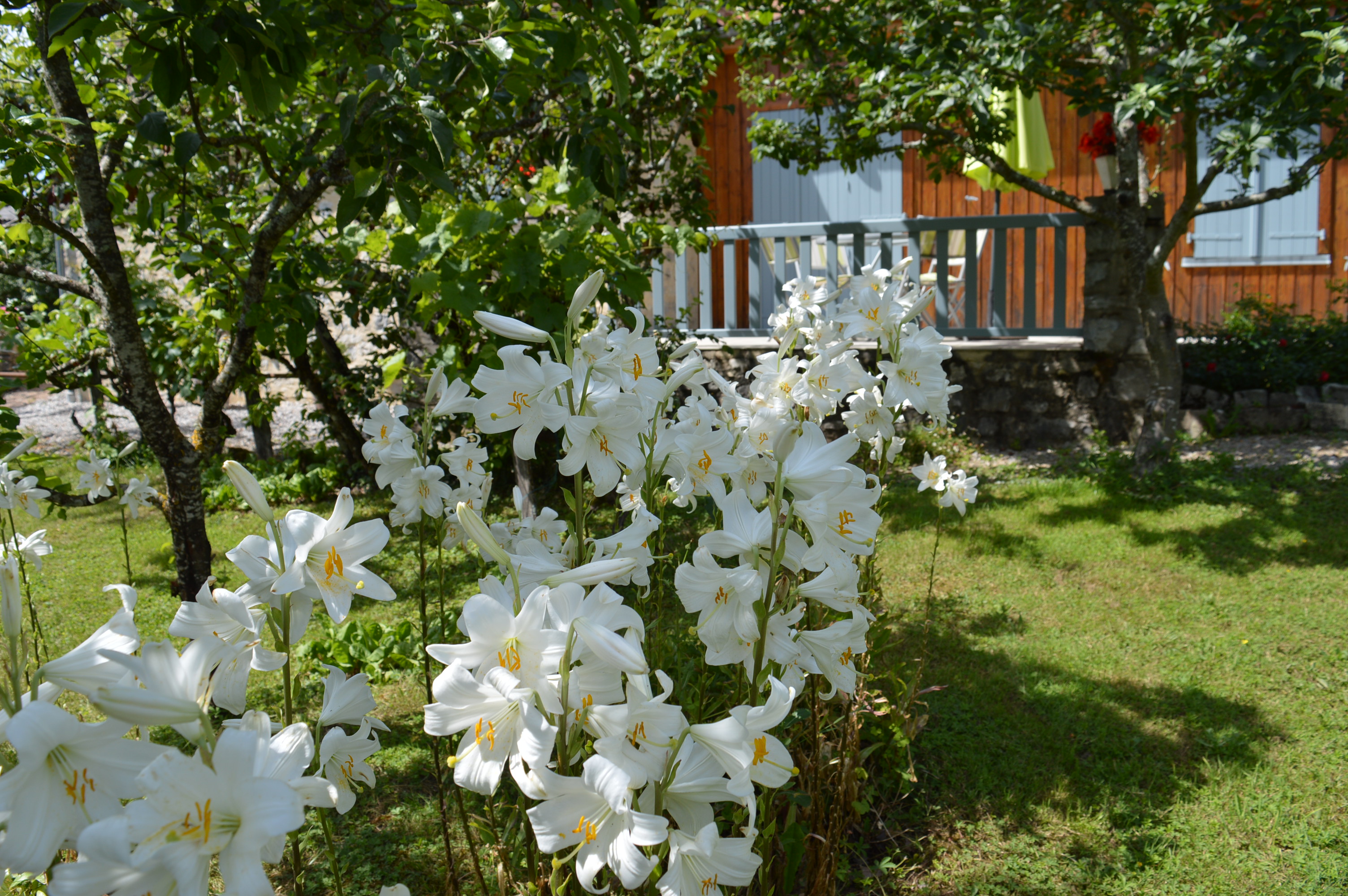 Gîte de Bonnefont, Mayrinhac-Lentour - photo 10