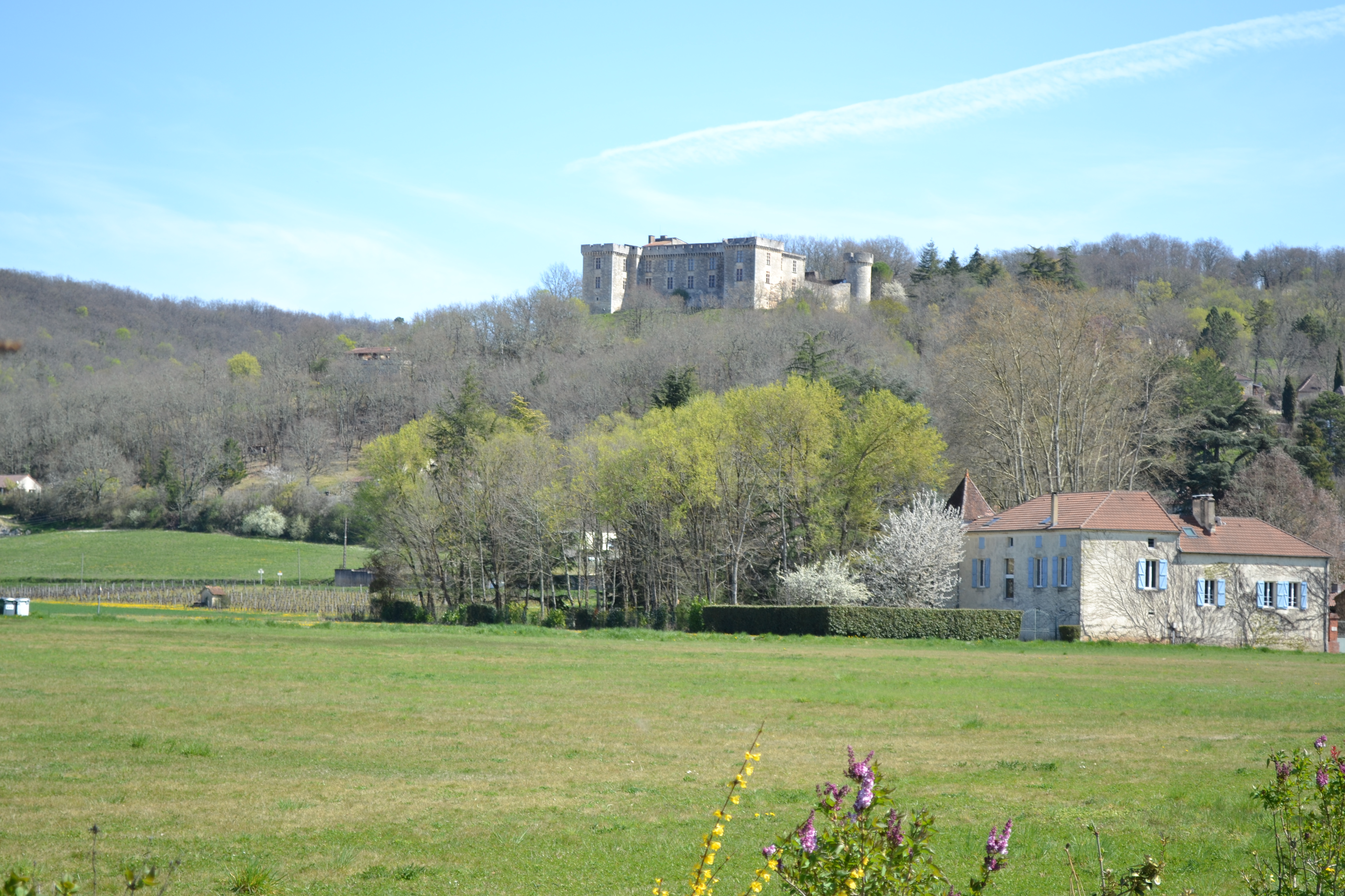 La Croix Blanche - La Maison & La Grange, Grézels - photo 6