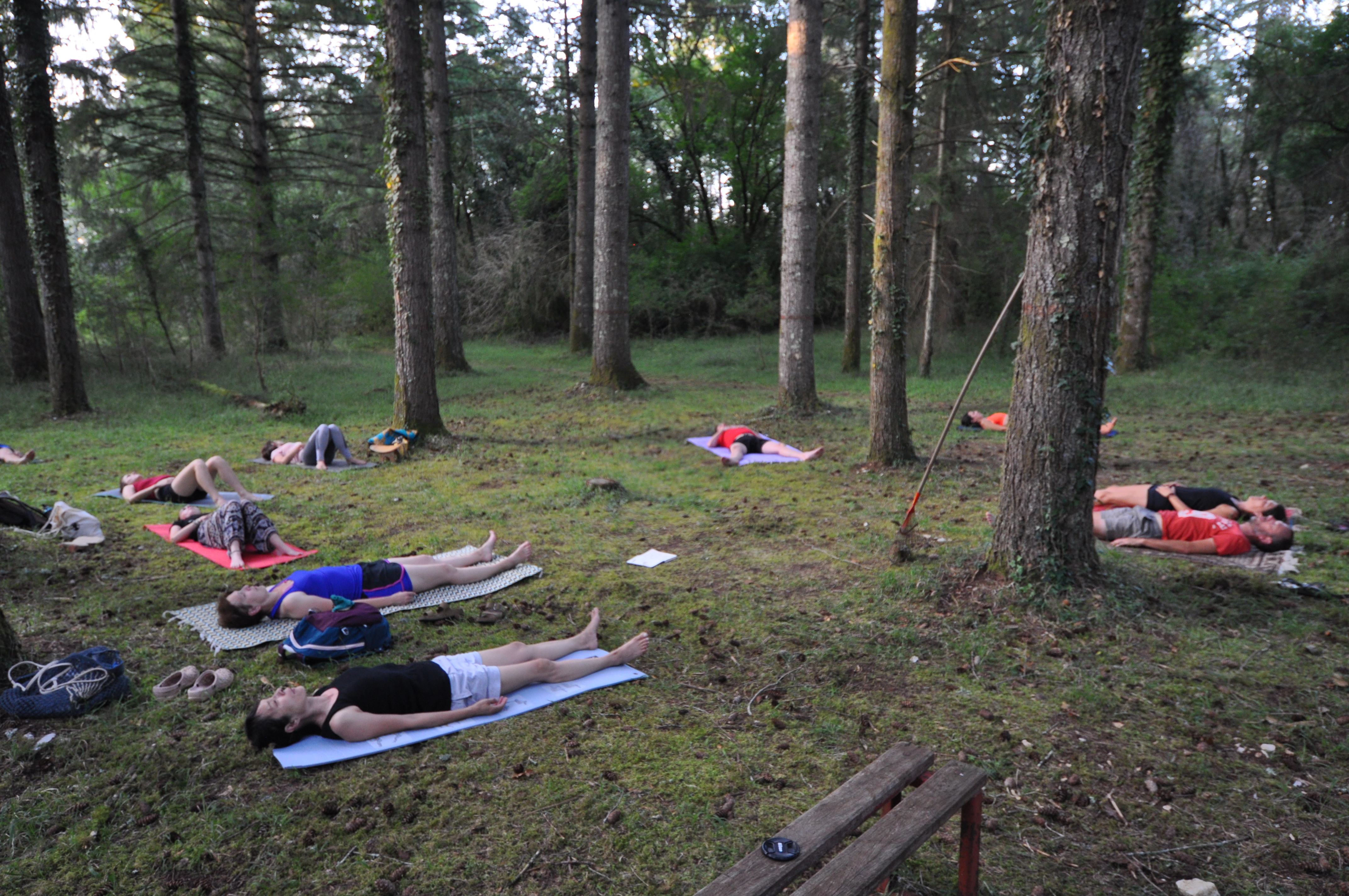 Yoga pour Tous