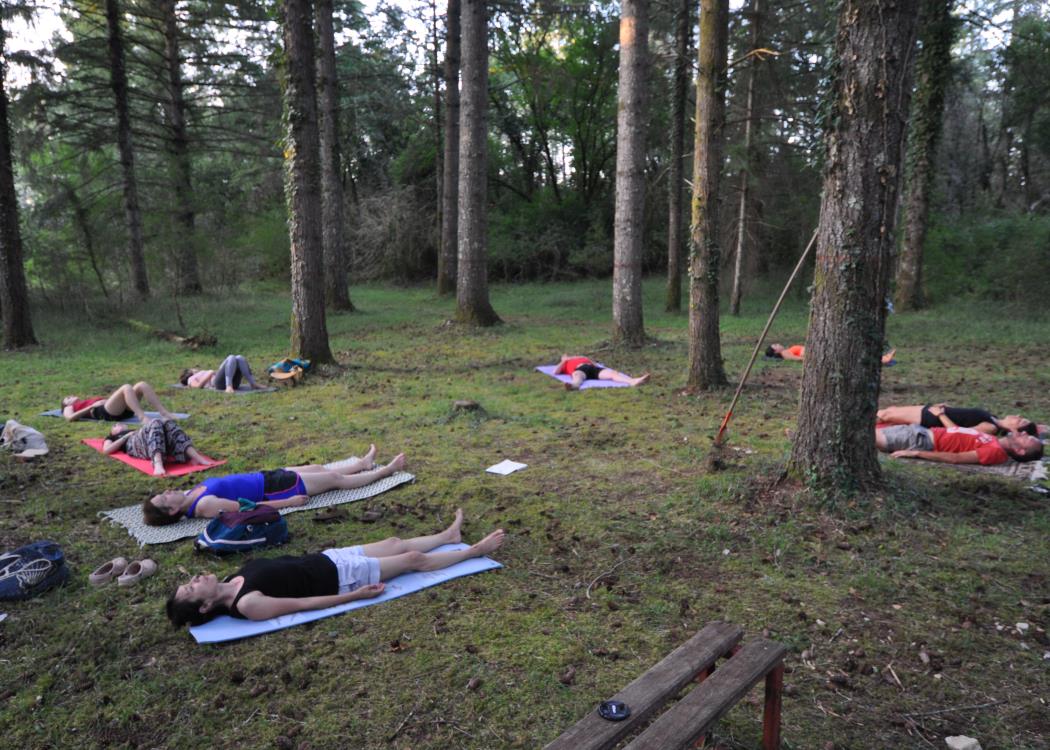 yoga en forêt