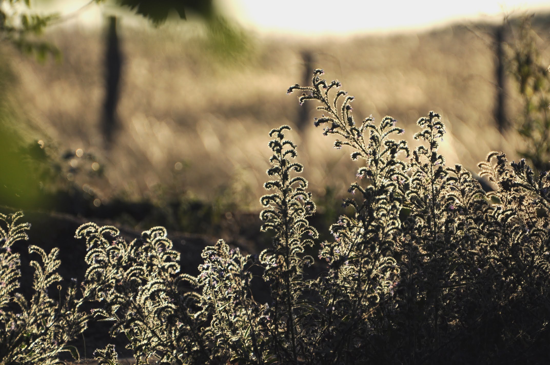 Gîte Les Gratabels, Le Bastit - photo 3