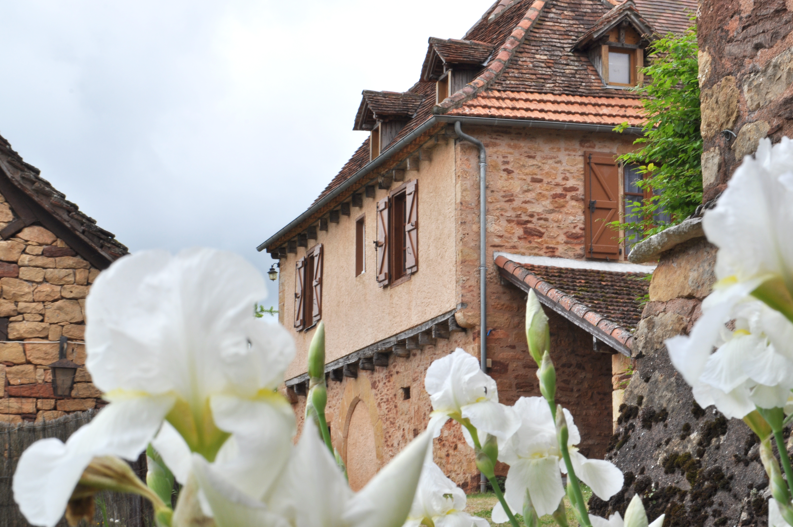 Gîte  "Au pied du Château de Castelnau"