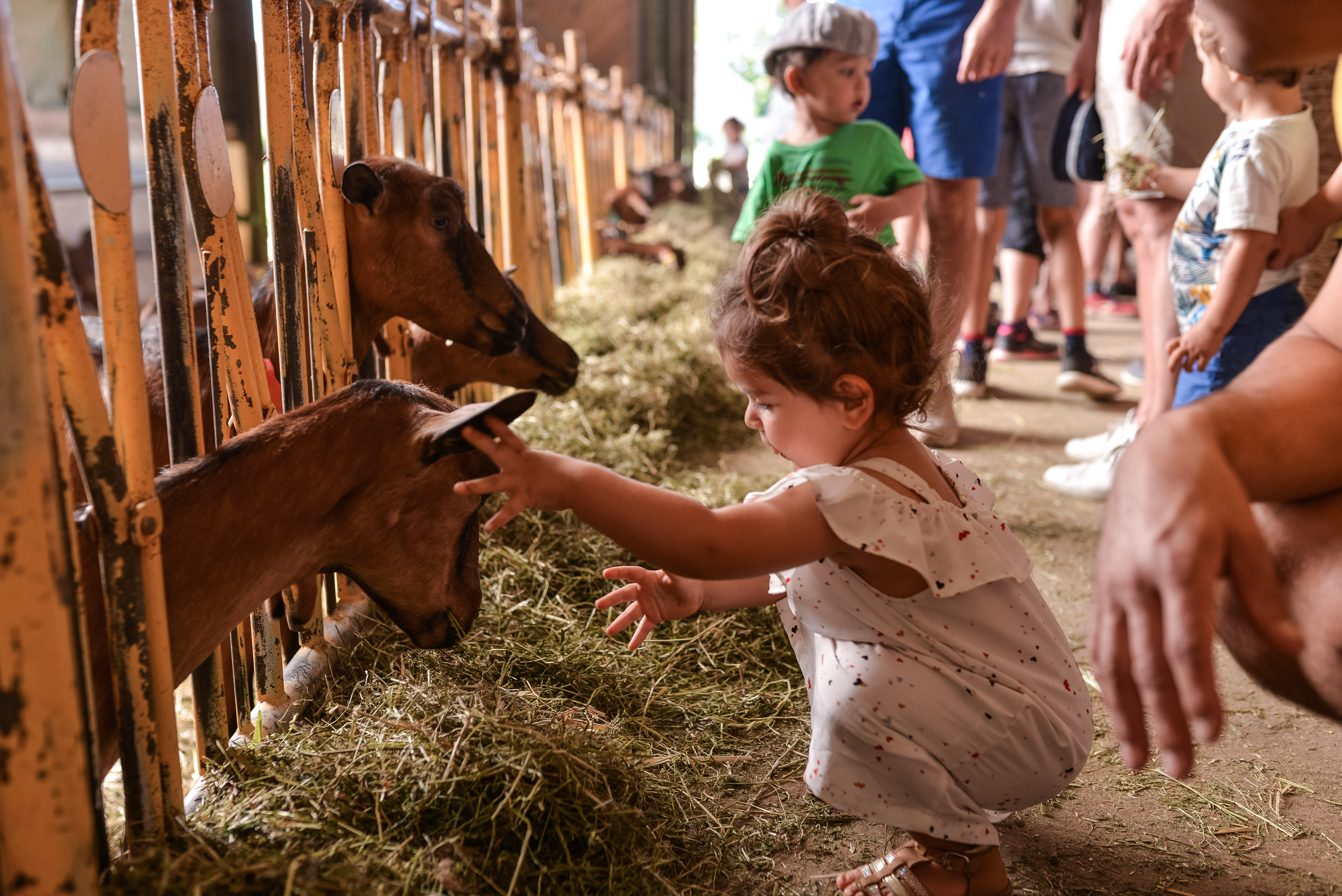 Ferme Pédagogique "La Borie d'Imbert", Rocamadour - photo 5