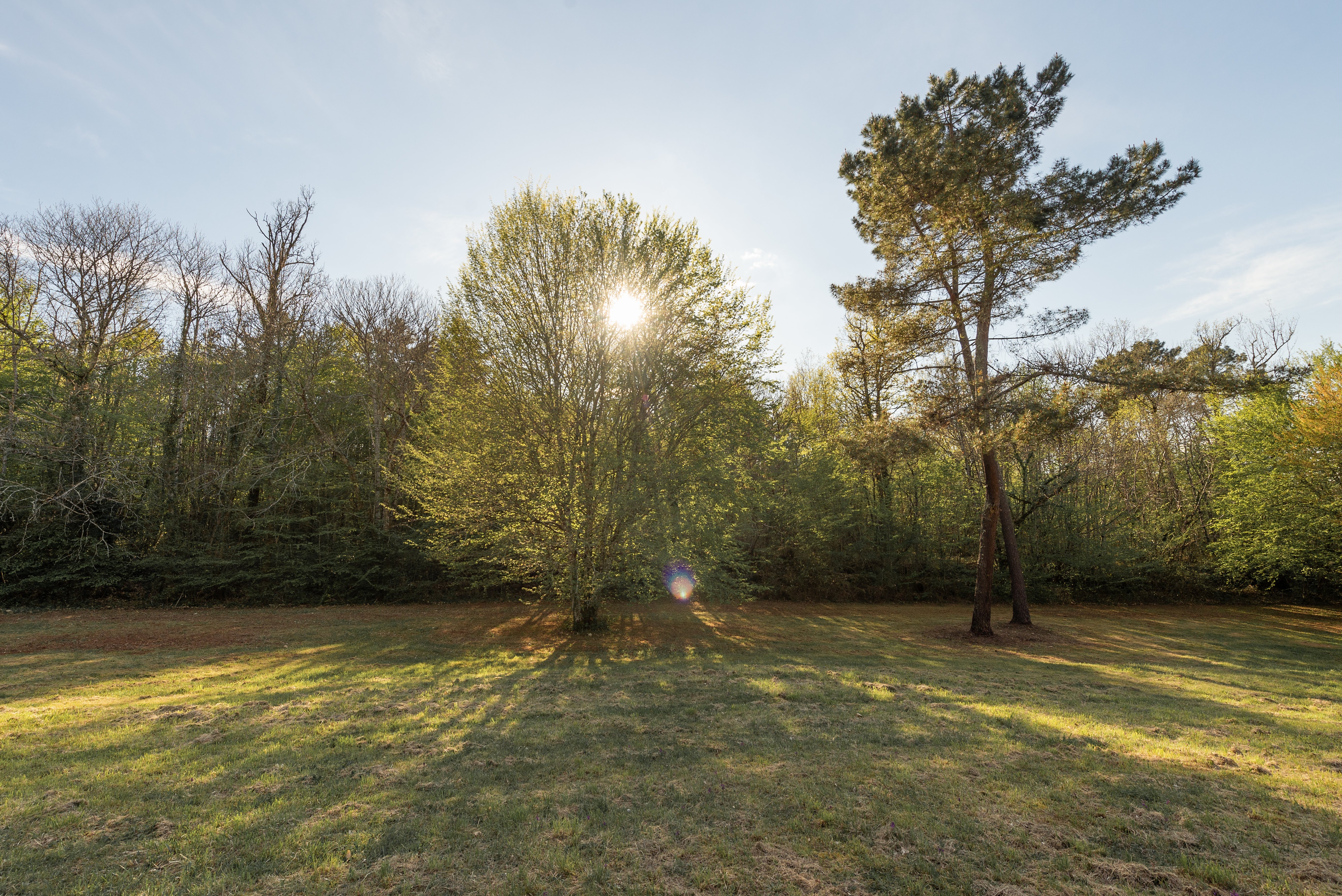 La Prairie - Larroque Haute Gites, Cassagnes - photo 13