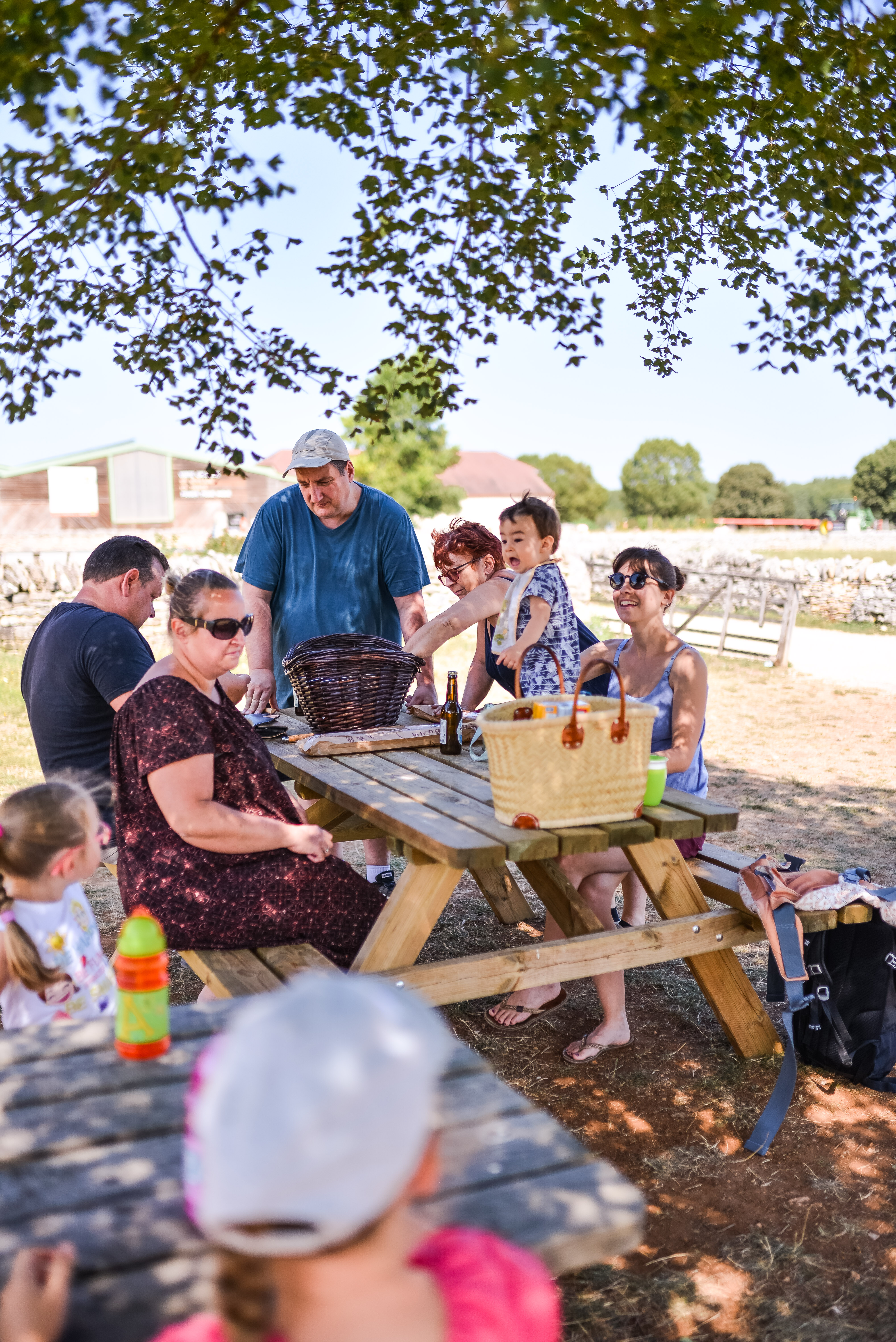 Ferme Pédagogique "La Borie d'Imbert", Rocamadour - photo 10