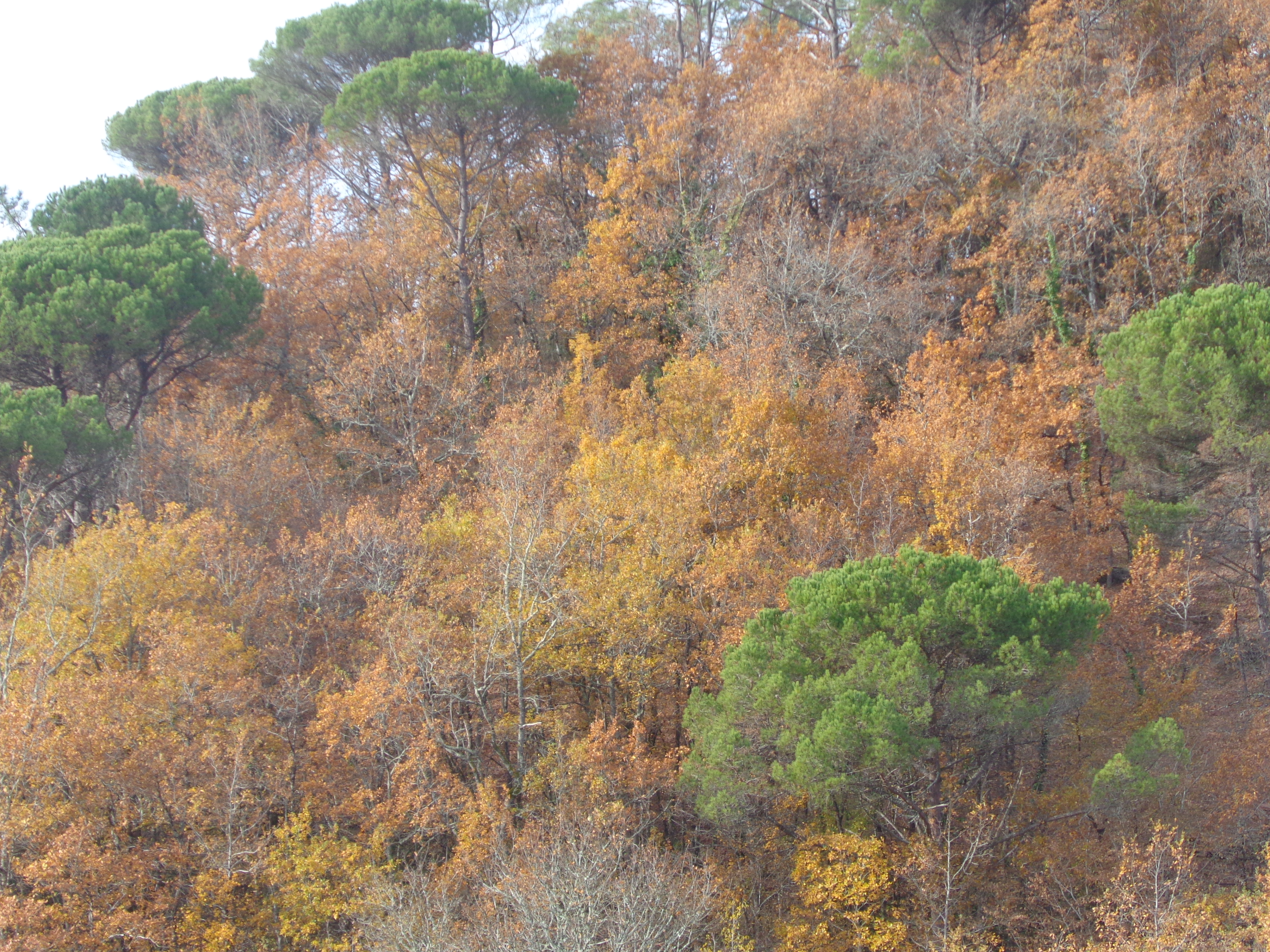 Gîte de Bonaguil Holidays, Soturac - photo 16