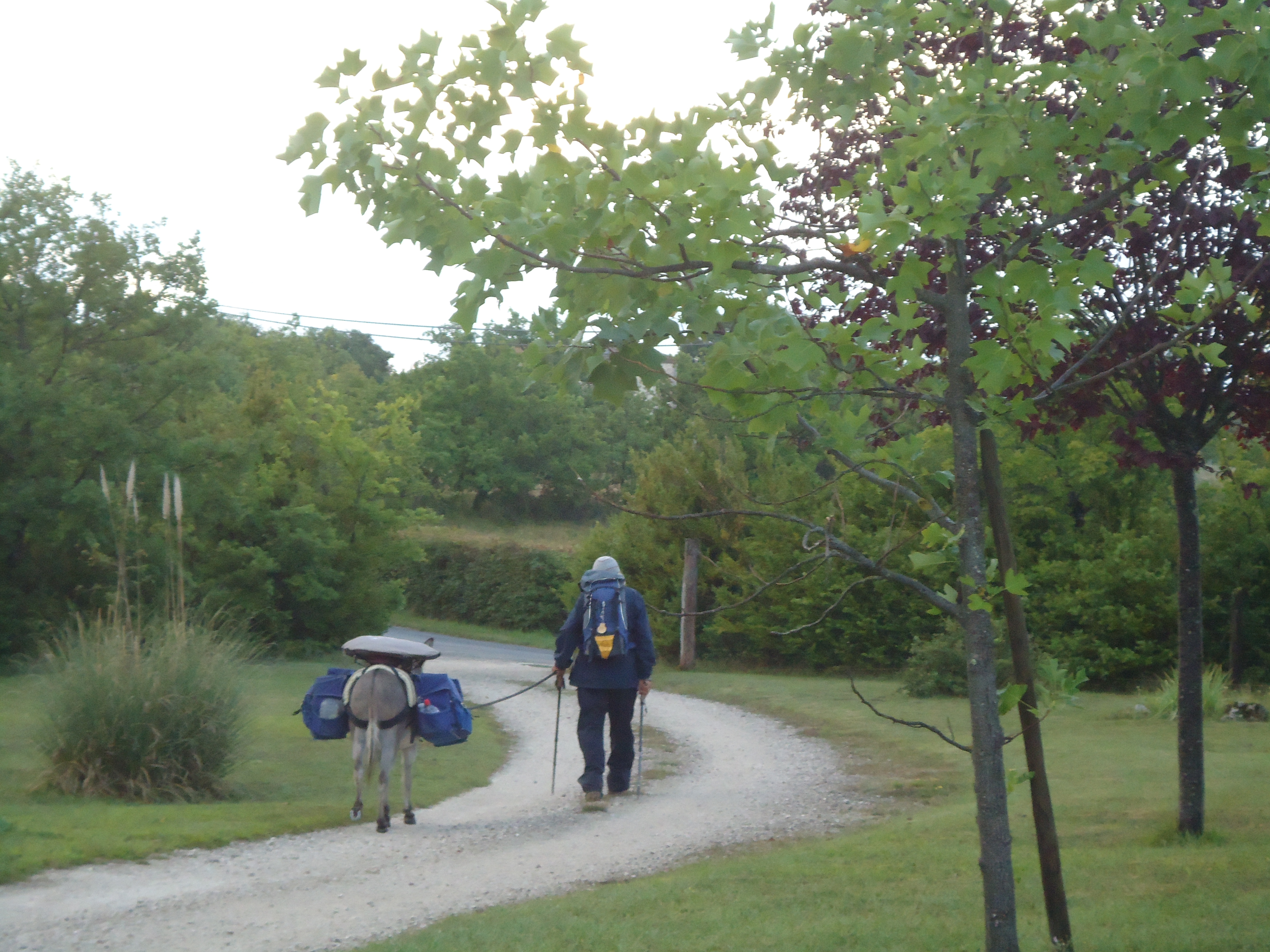 Gîte d'Étape Trigodina, Pern - photo 3