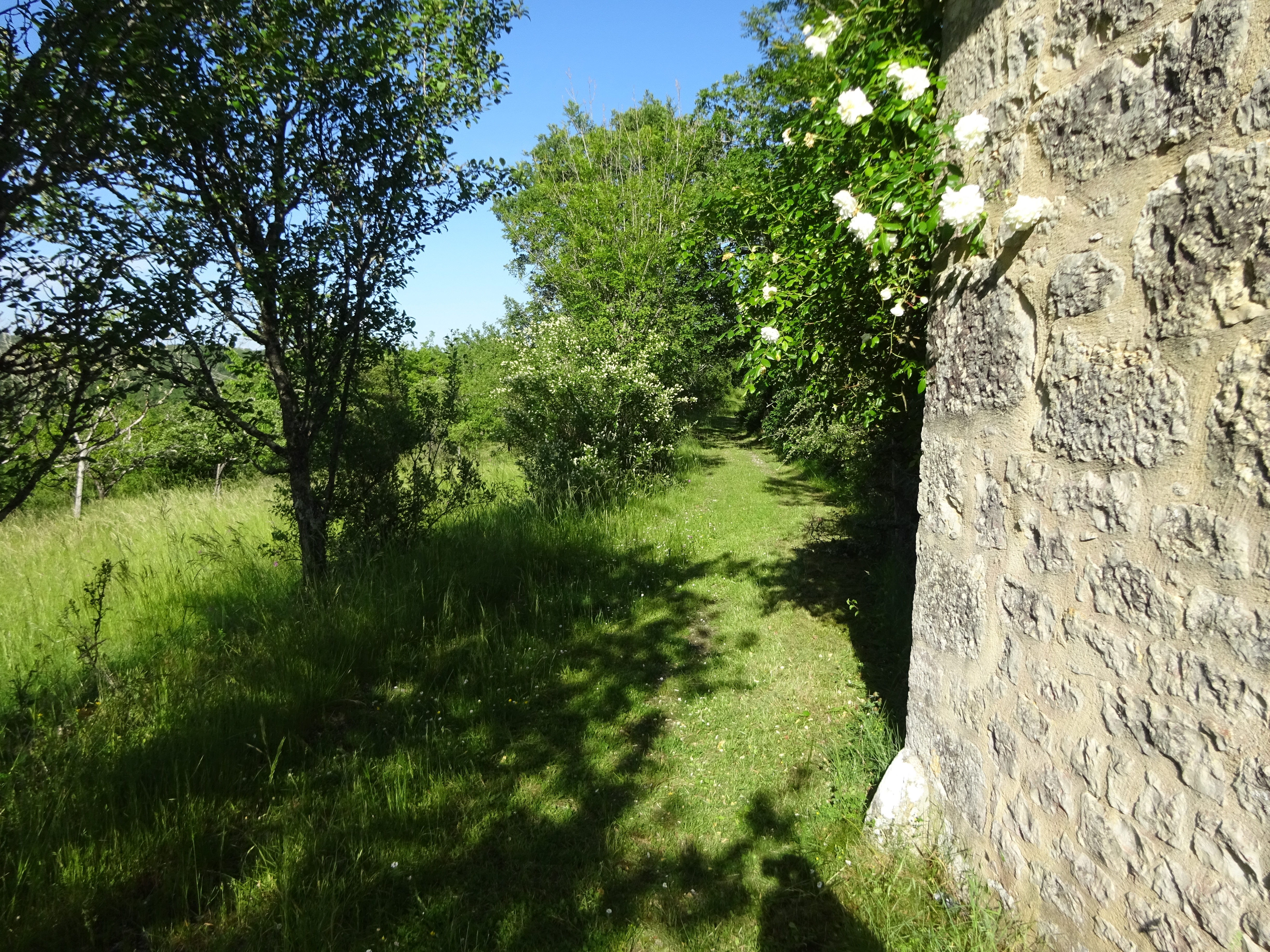 Contivay, Francoulès - photo 6
