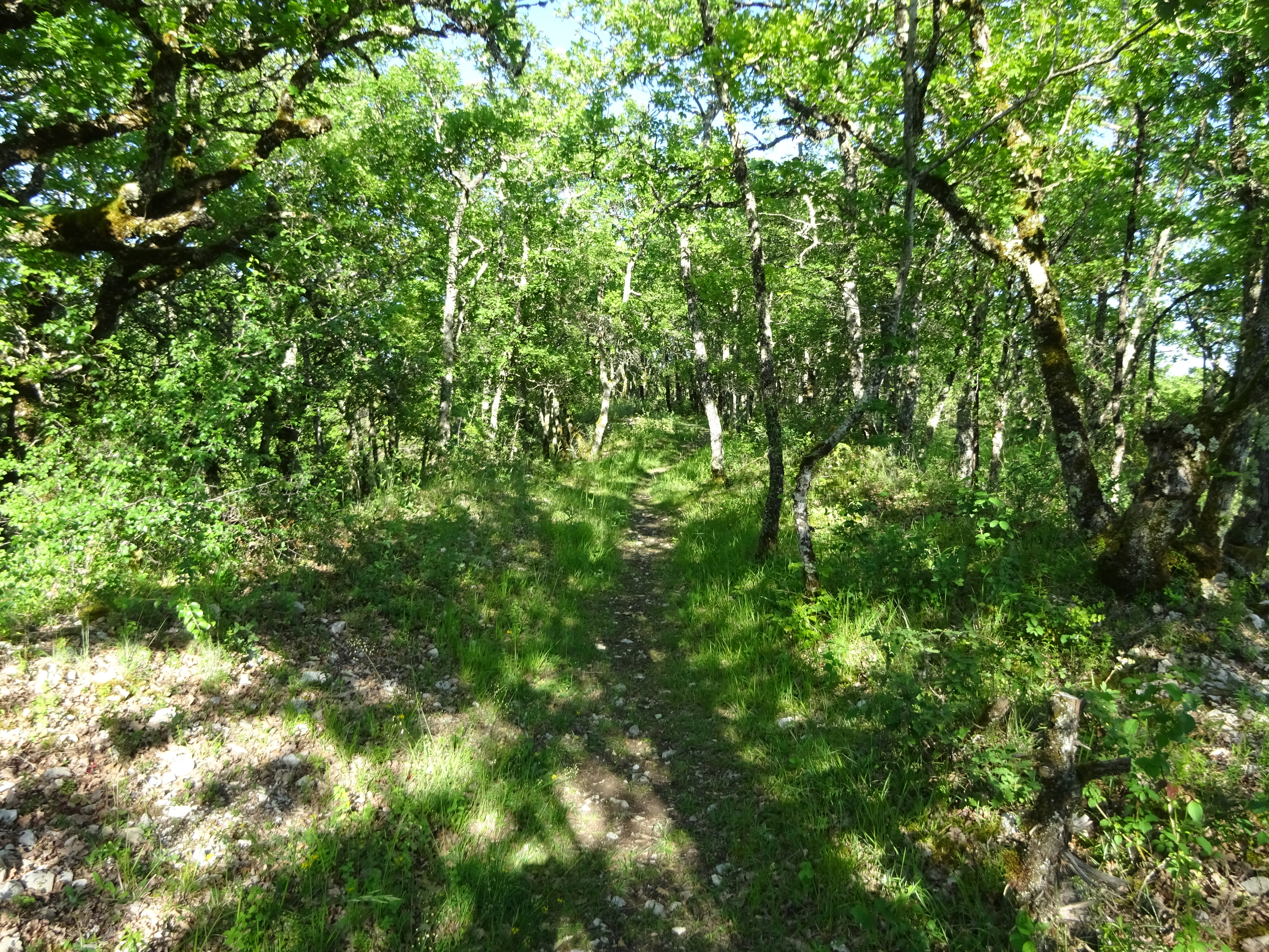 Contivay, Francoulès - photo 7