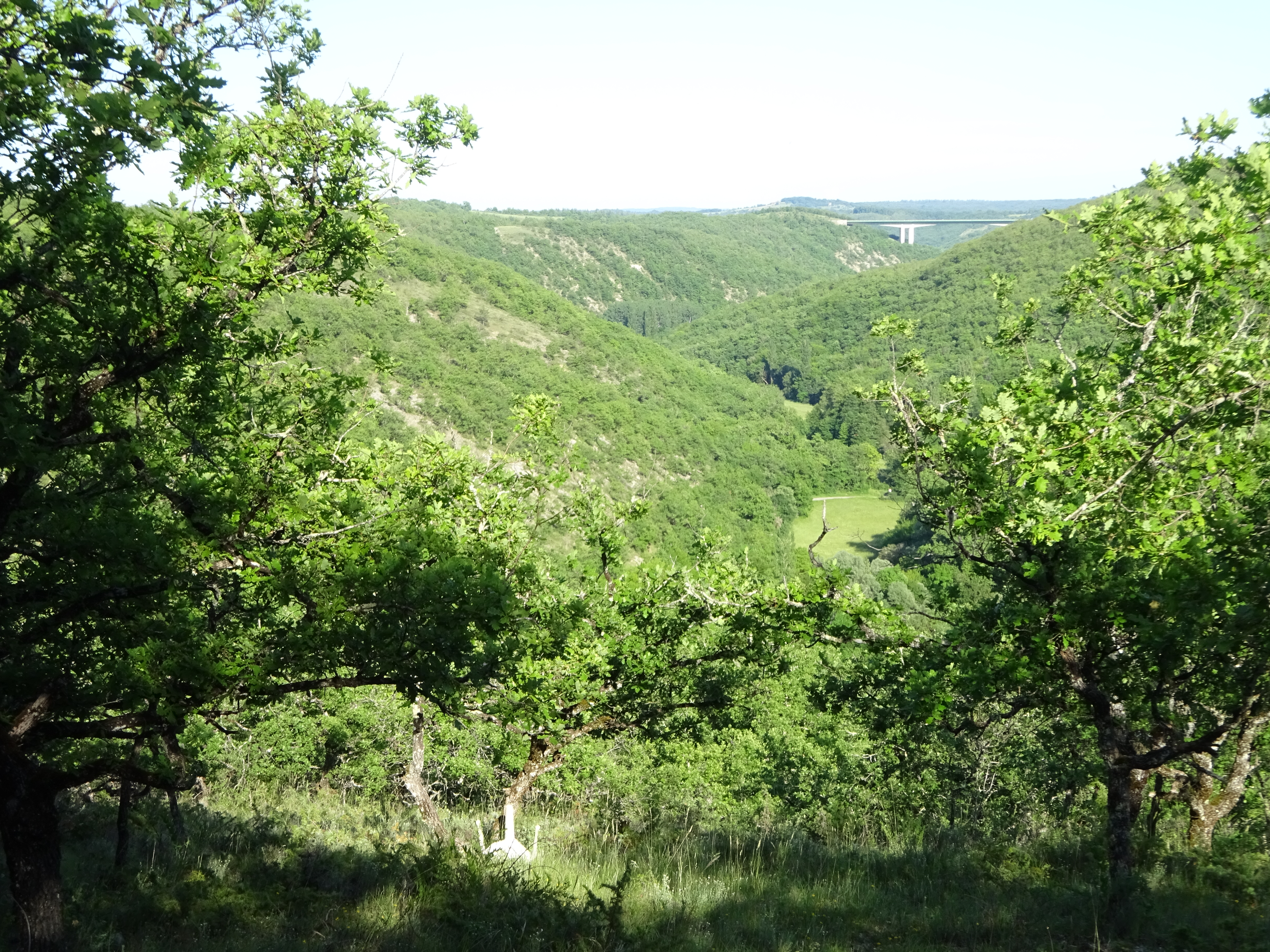 Contivay, Francoulès - photo 8