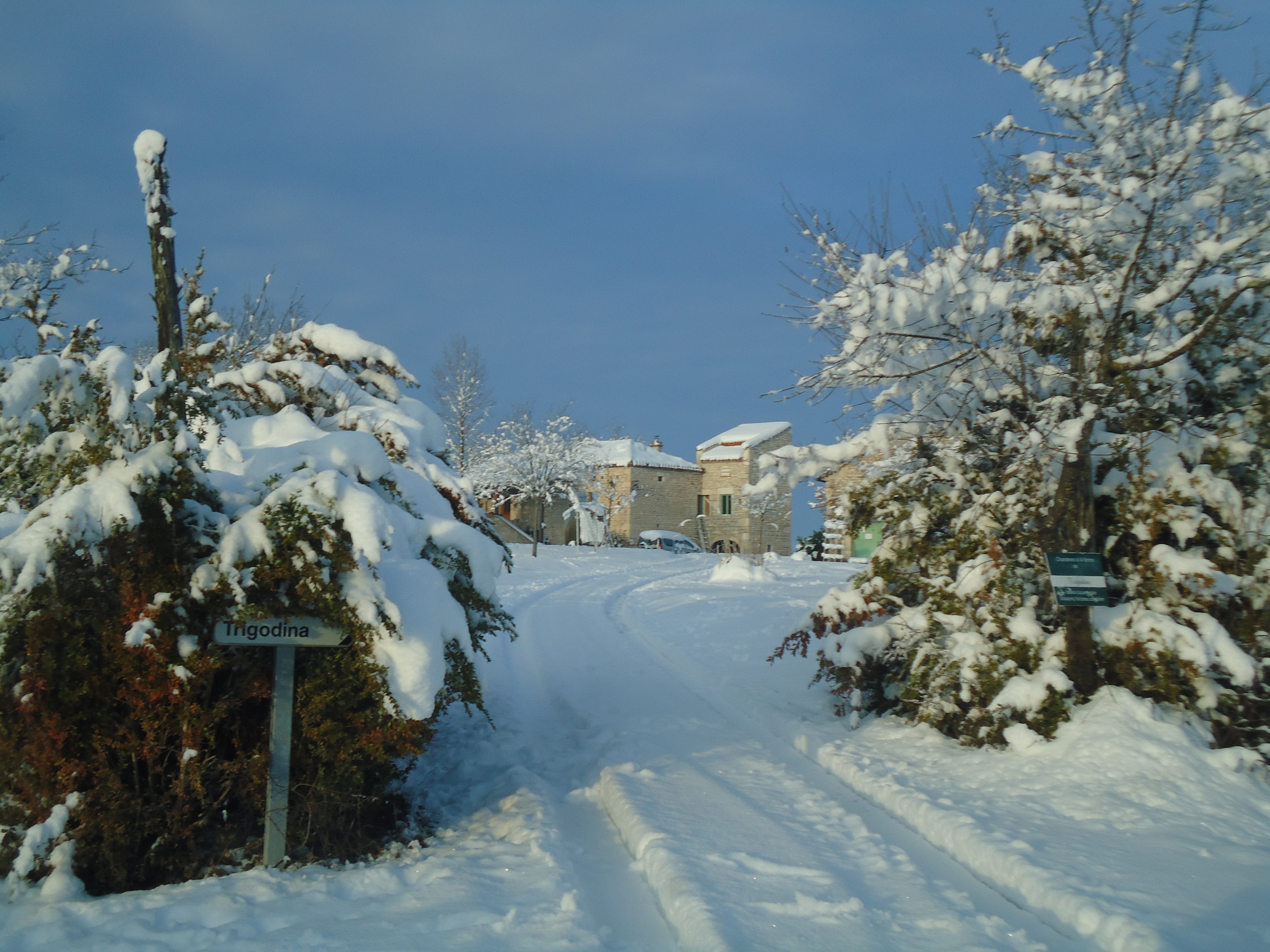 Gîte d'Étape Trigodina, Pern - photo 4