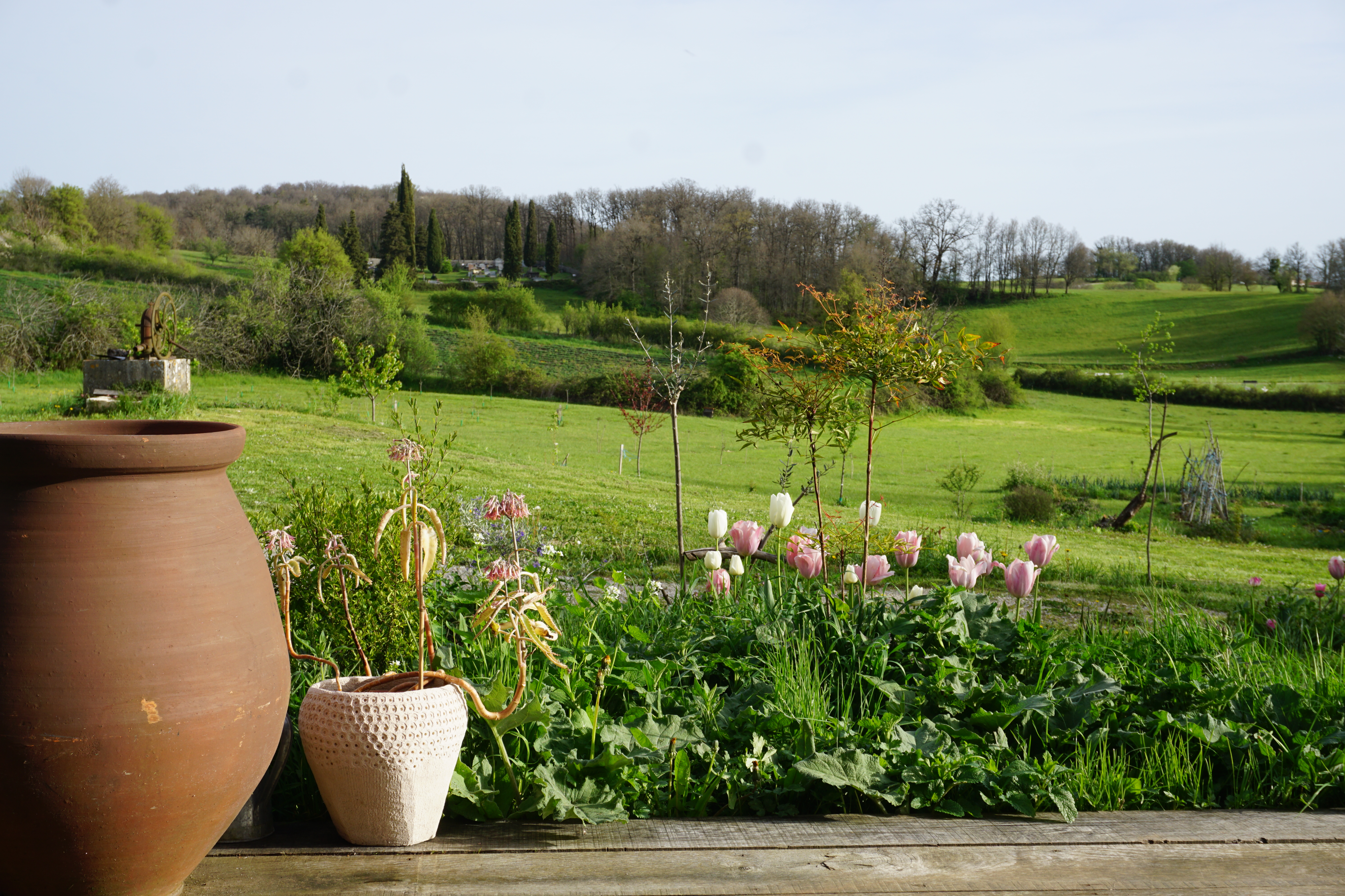 Gîte de Natisse, Lauzès - photo 4