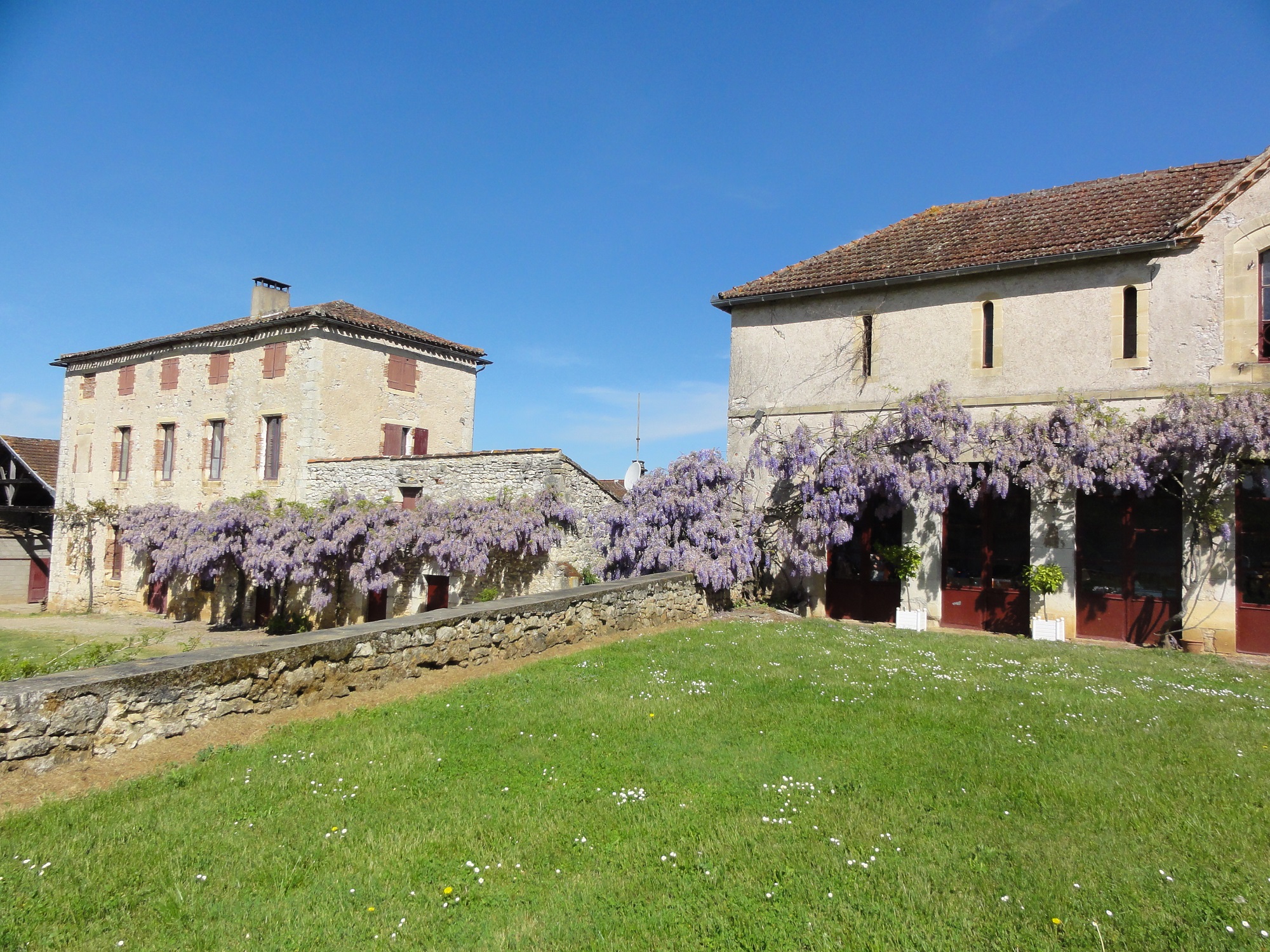 Château les Bouysses — photo 3