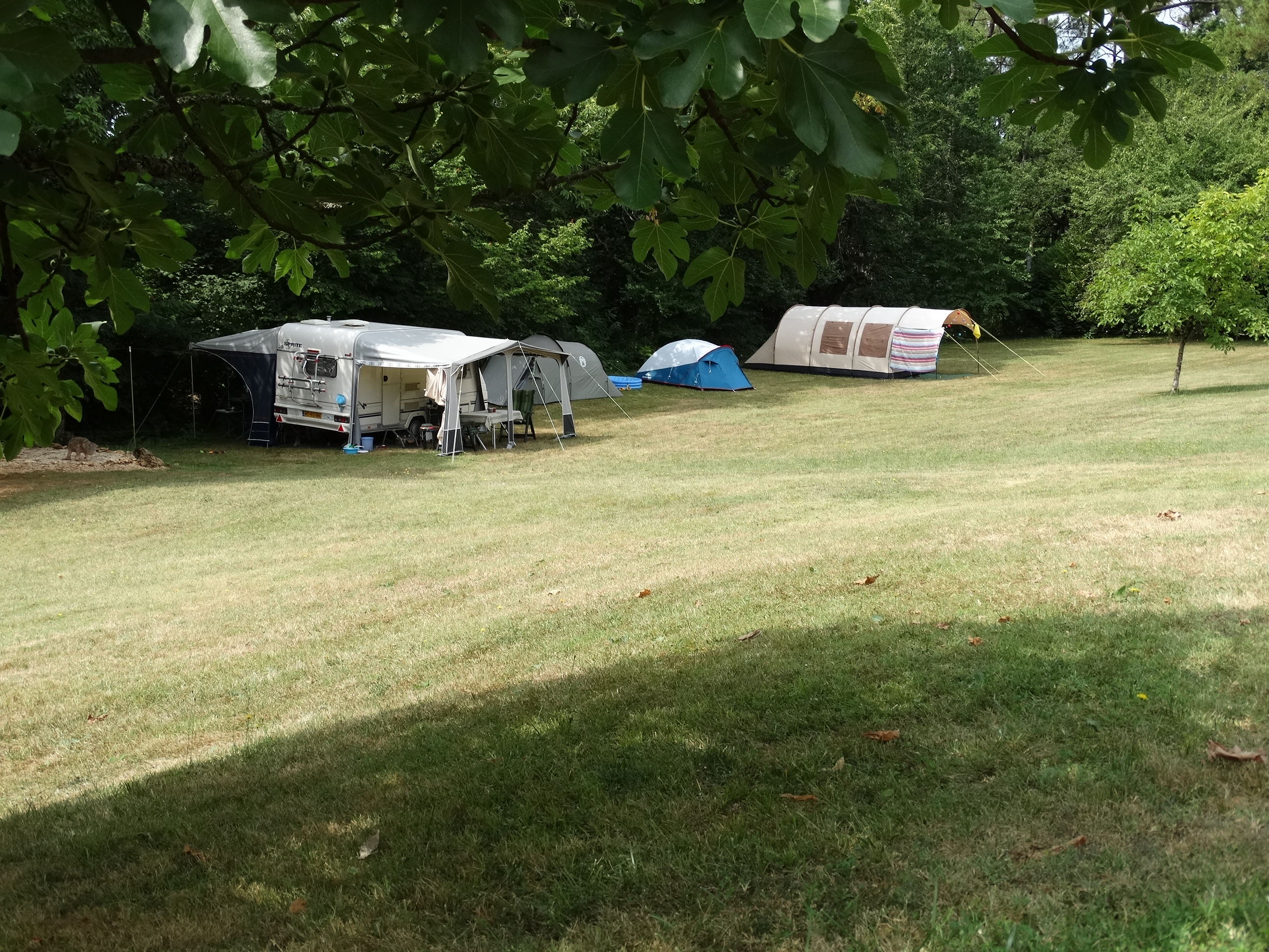 Domaine Troteligotte, Pomarède - photo 4