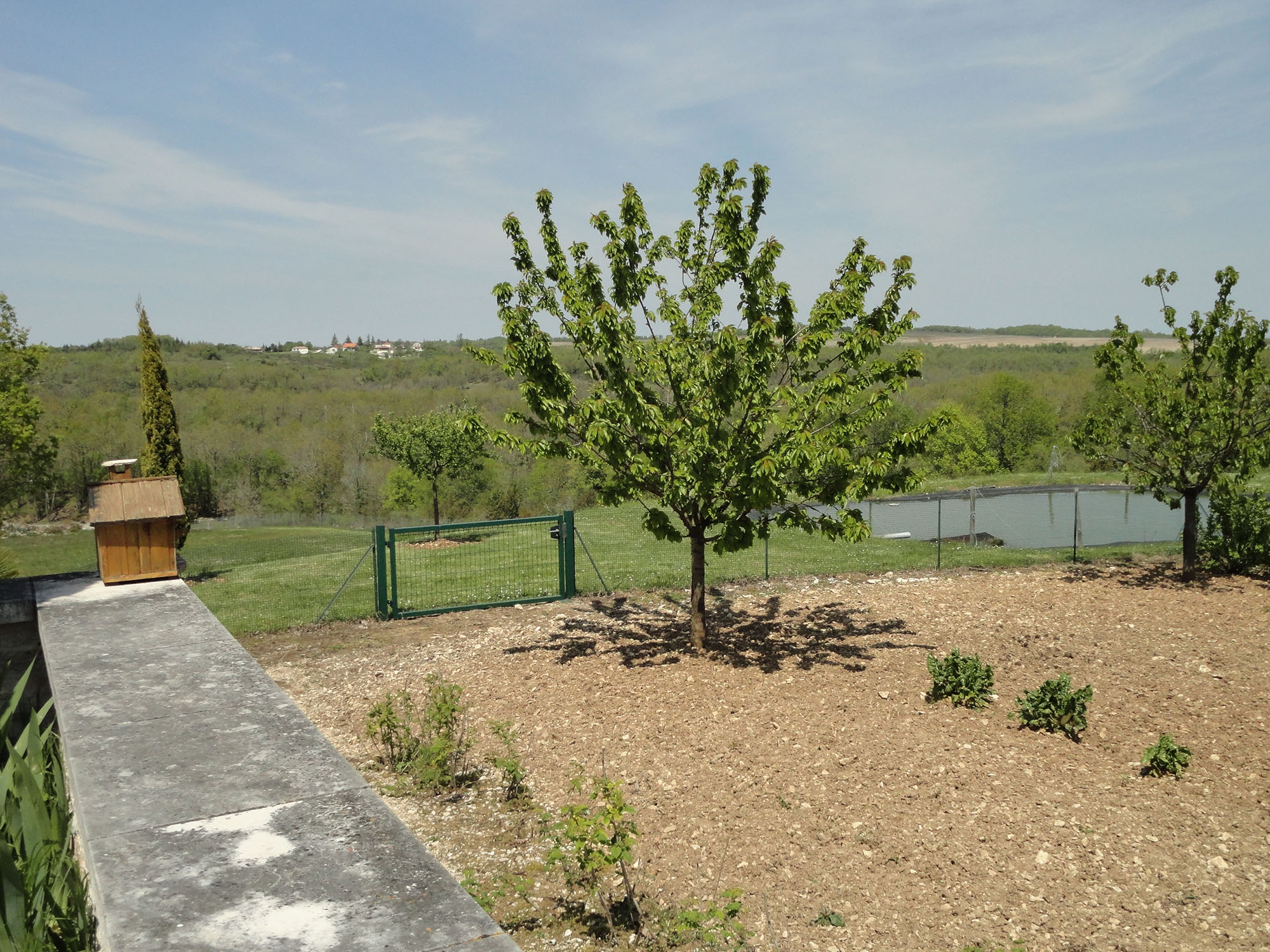 Les Lagerstroemias, Cieurac - photo 7