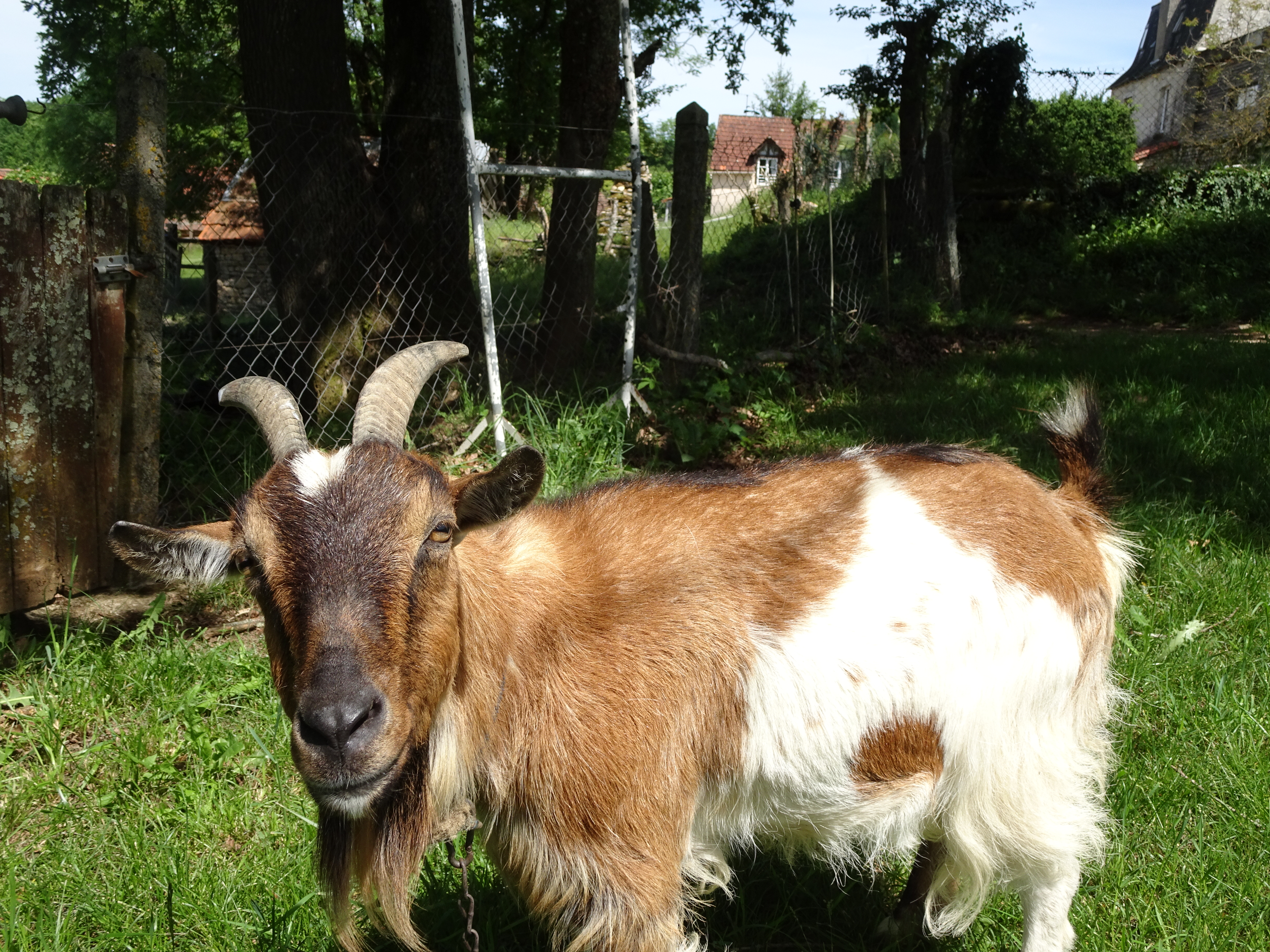 La Maison de la Doline, Martel - photo 5
