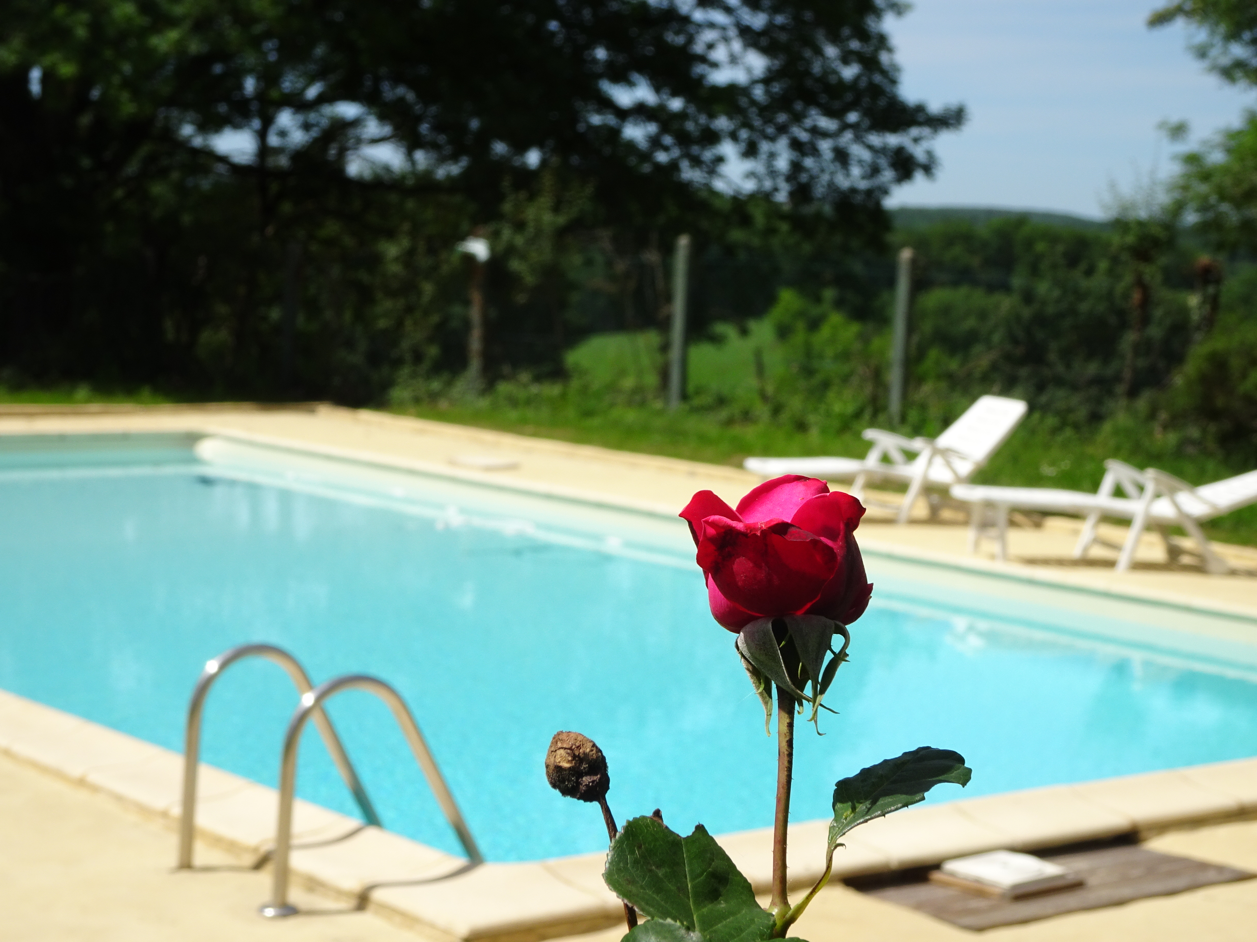 La Maison de la Doline, Martel - photo 6