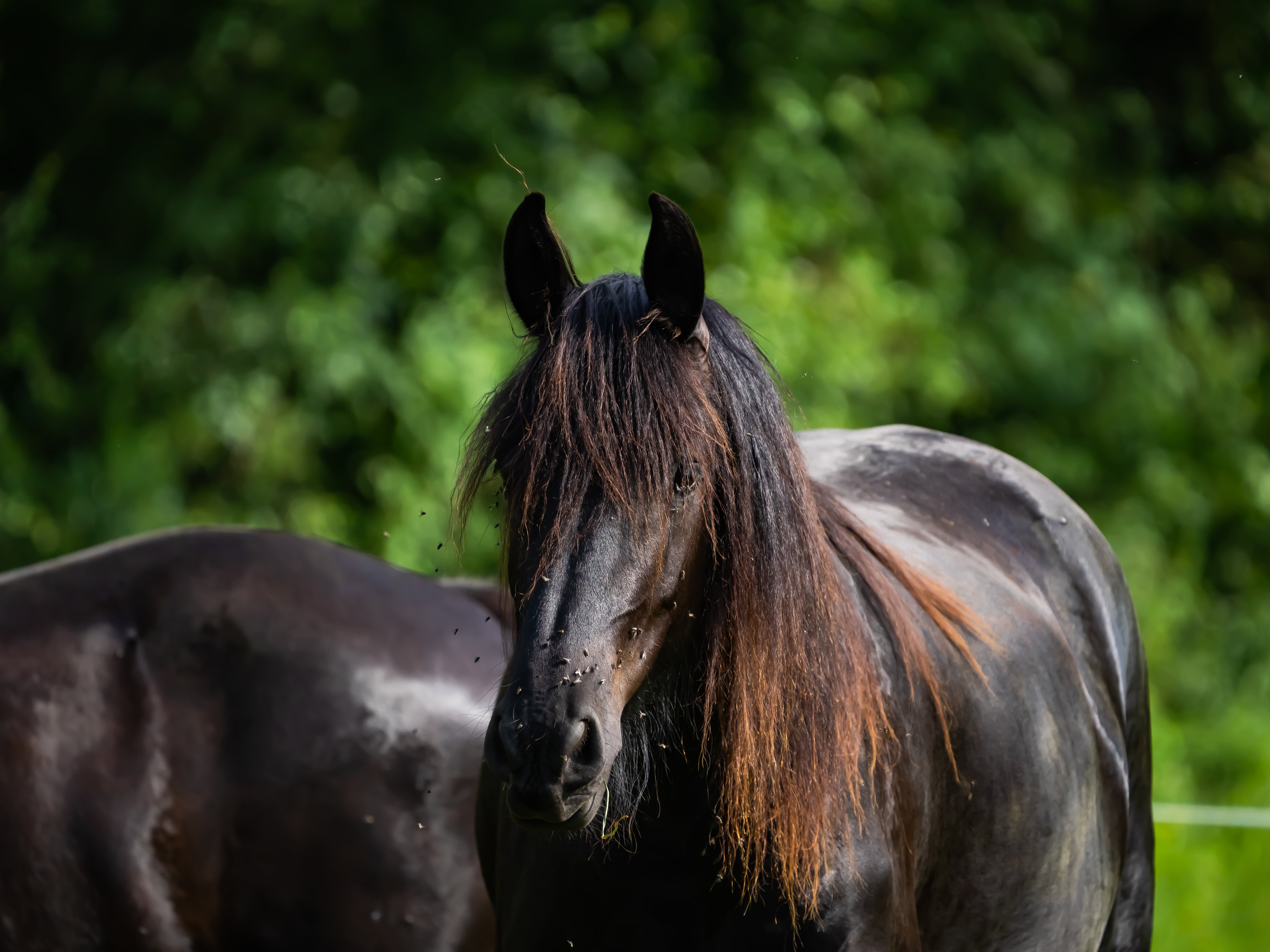 Les roulottes du petit gouffre de Padirac, Padirac - photo 14