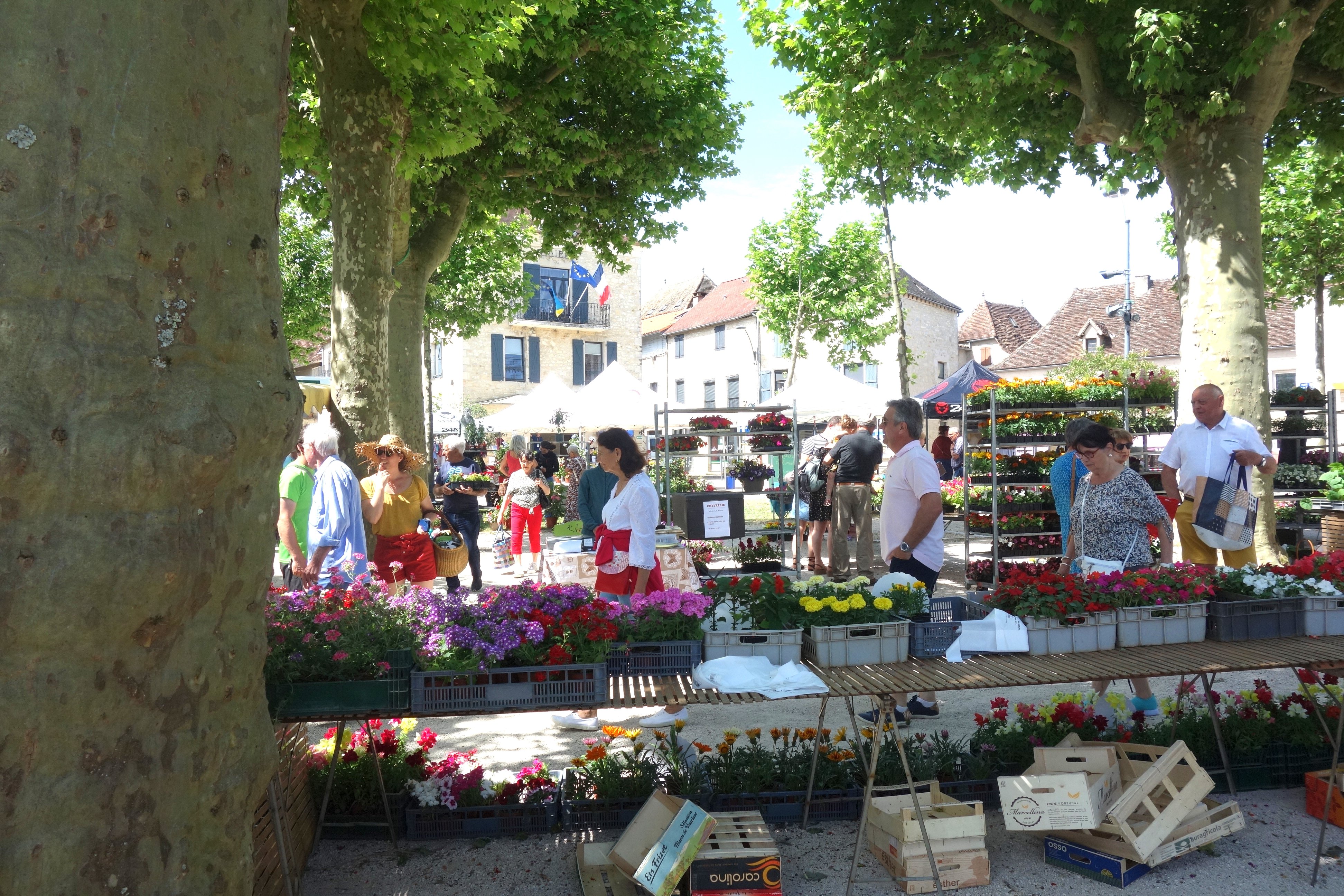 Fête de Printemps, Cœur de Causse - photo 5