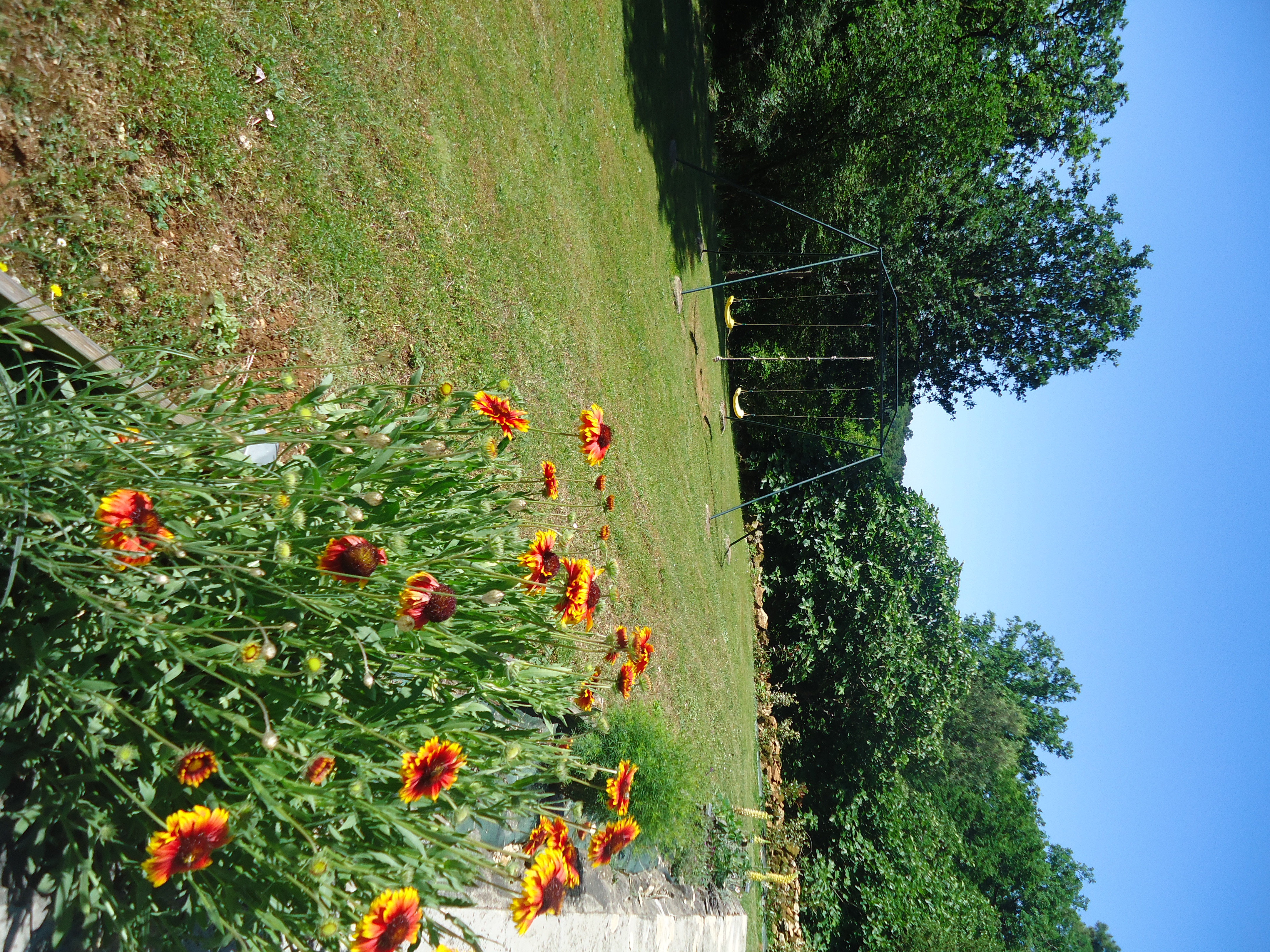 Lafuste : Gîte Chêne, Marminiac - photo 7