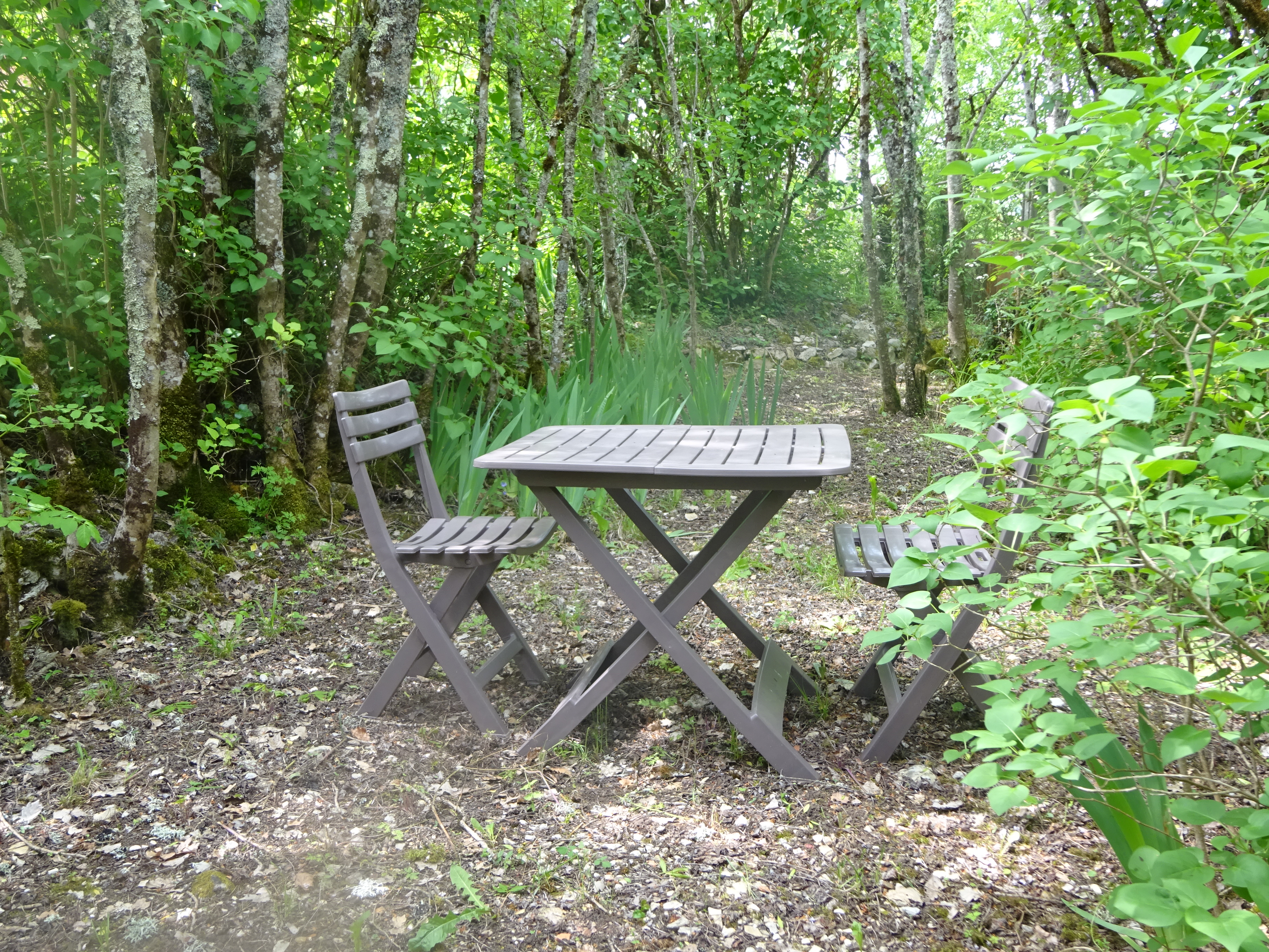 Contivay, Francoulès - photo 11