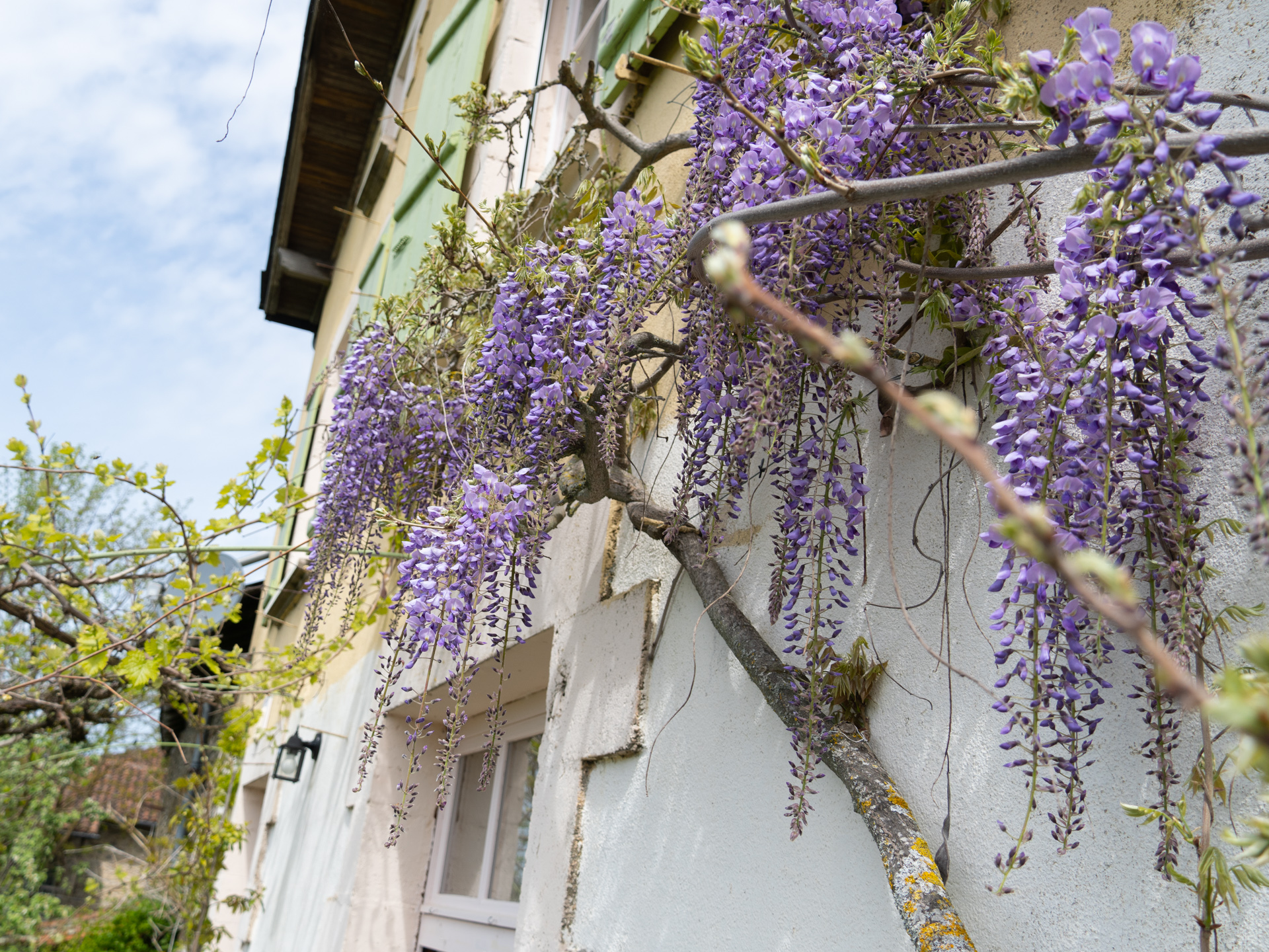 Ferme de la Mandra, Saint-Cirgues - photo 4