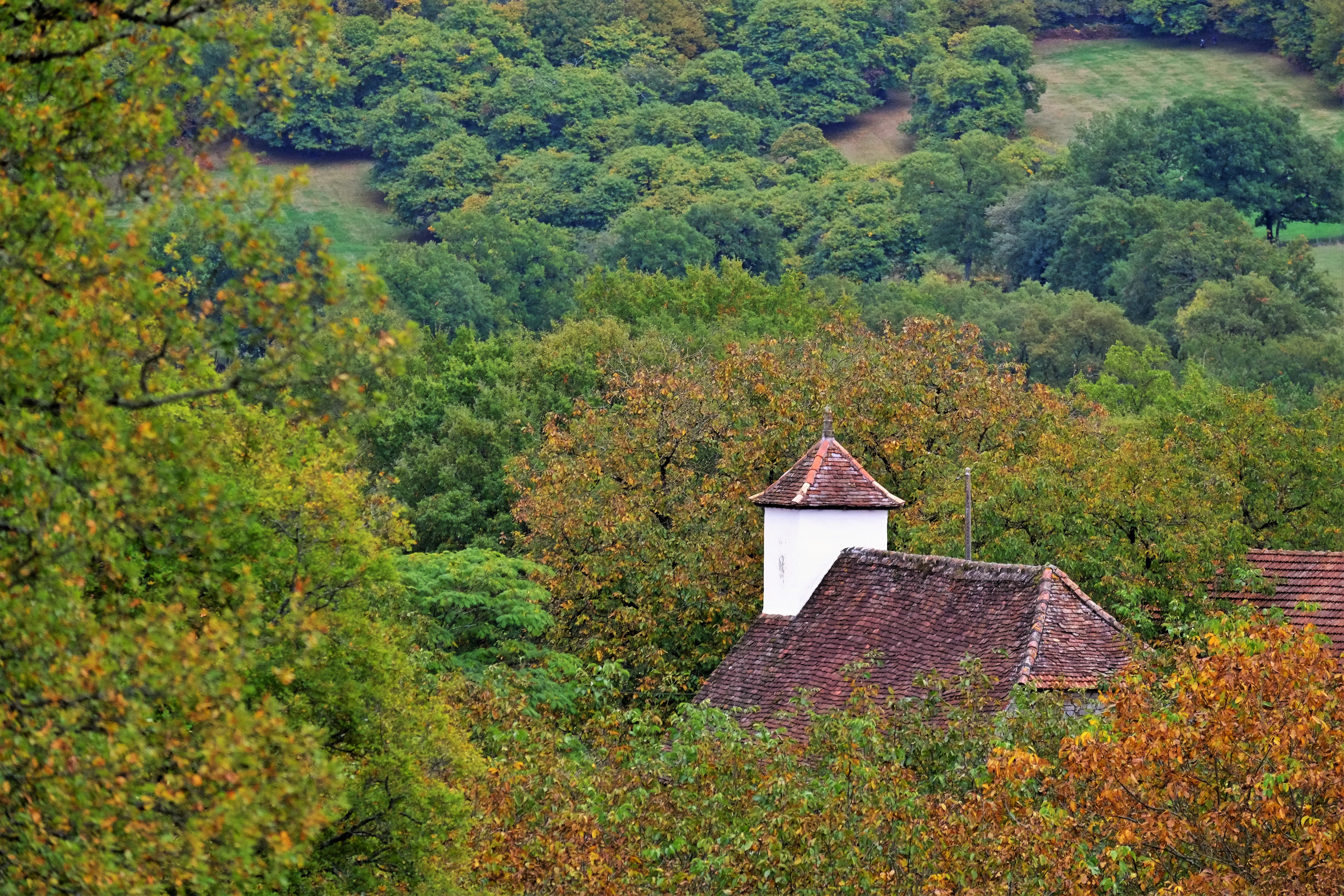 Gîte Mosaïque, Latouille-Lentillac - photo 2