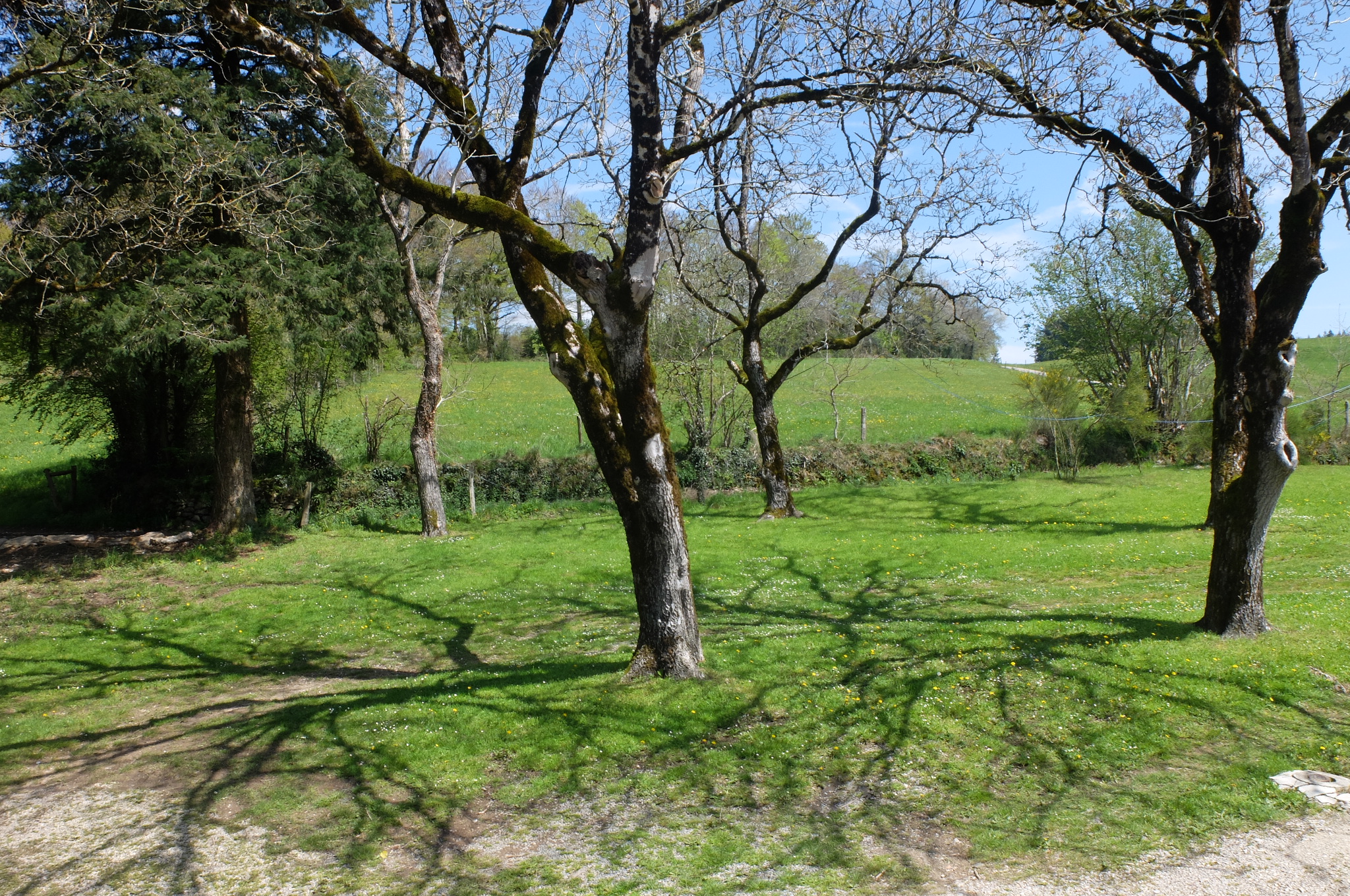 Sur la colline - notre rêve, Sousceyrac-en-Quercy - photo 2
