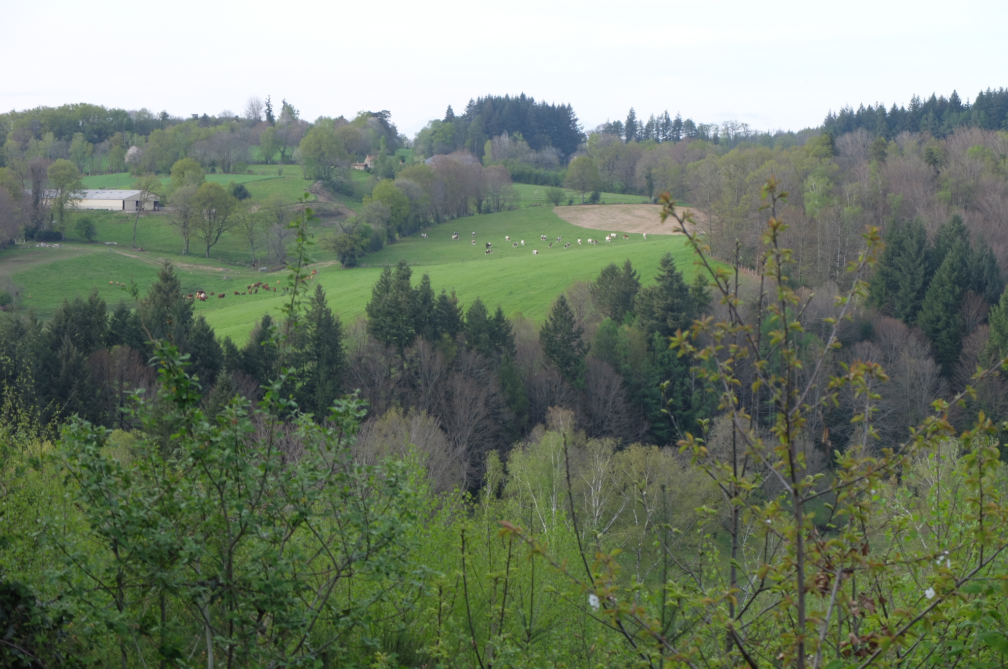 Sur la colline - notre rêve, Sousceyrac-en-Quercy - photo 6