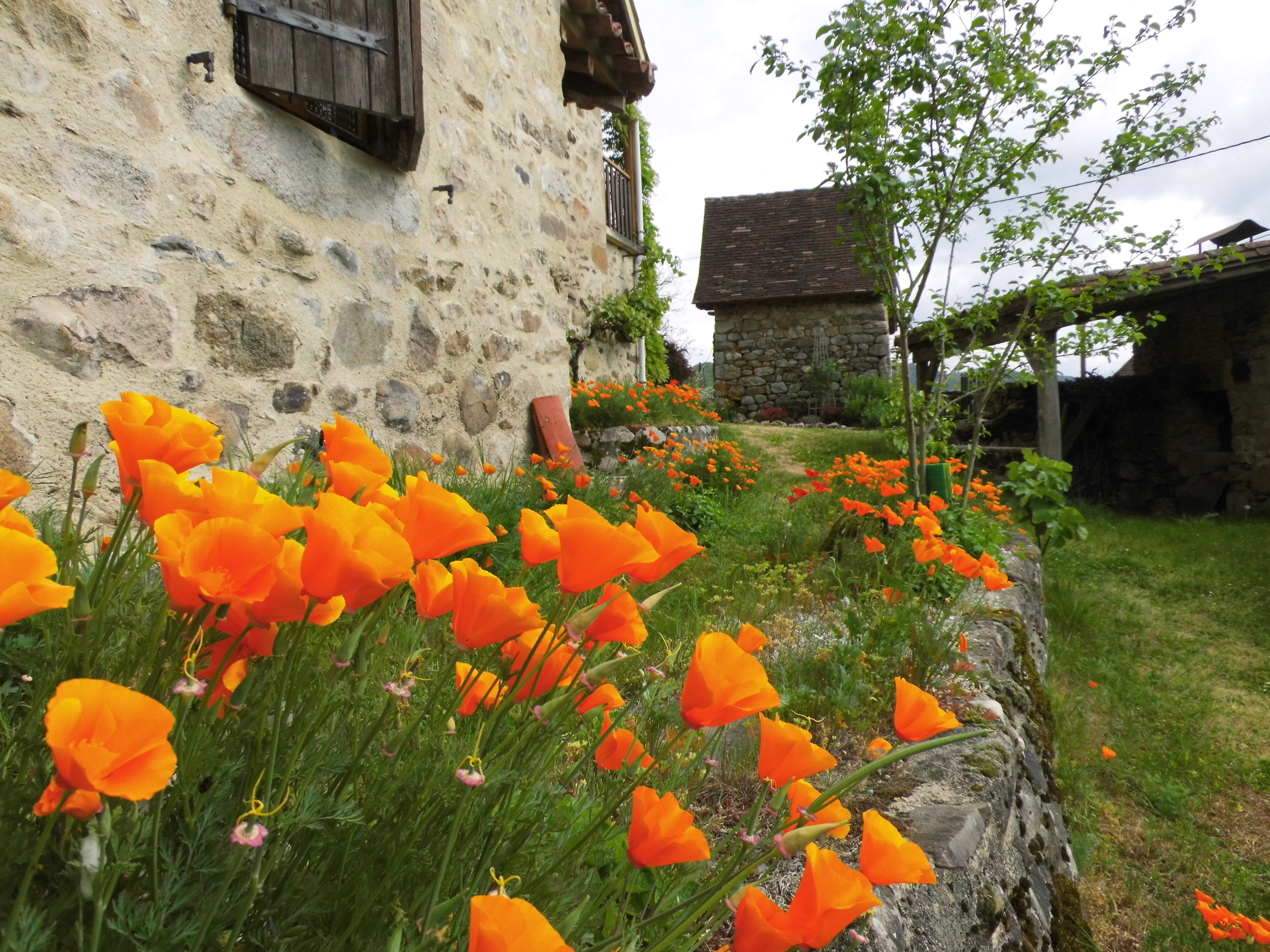 Chez Claire, à Latouille, Latouille-Lentillac - photo 4