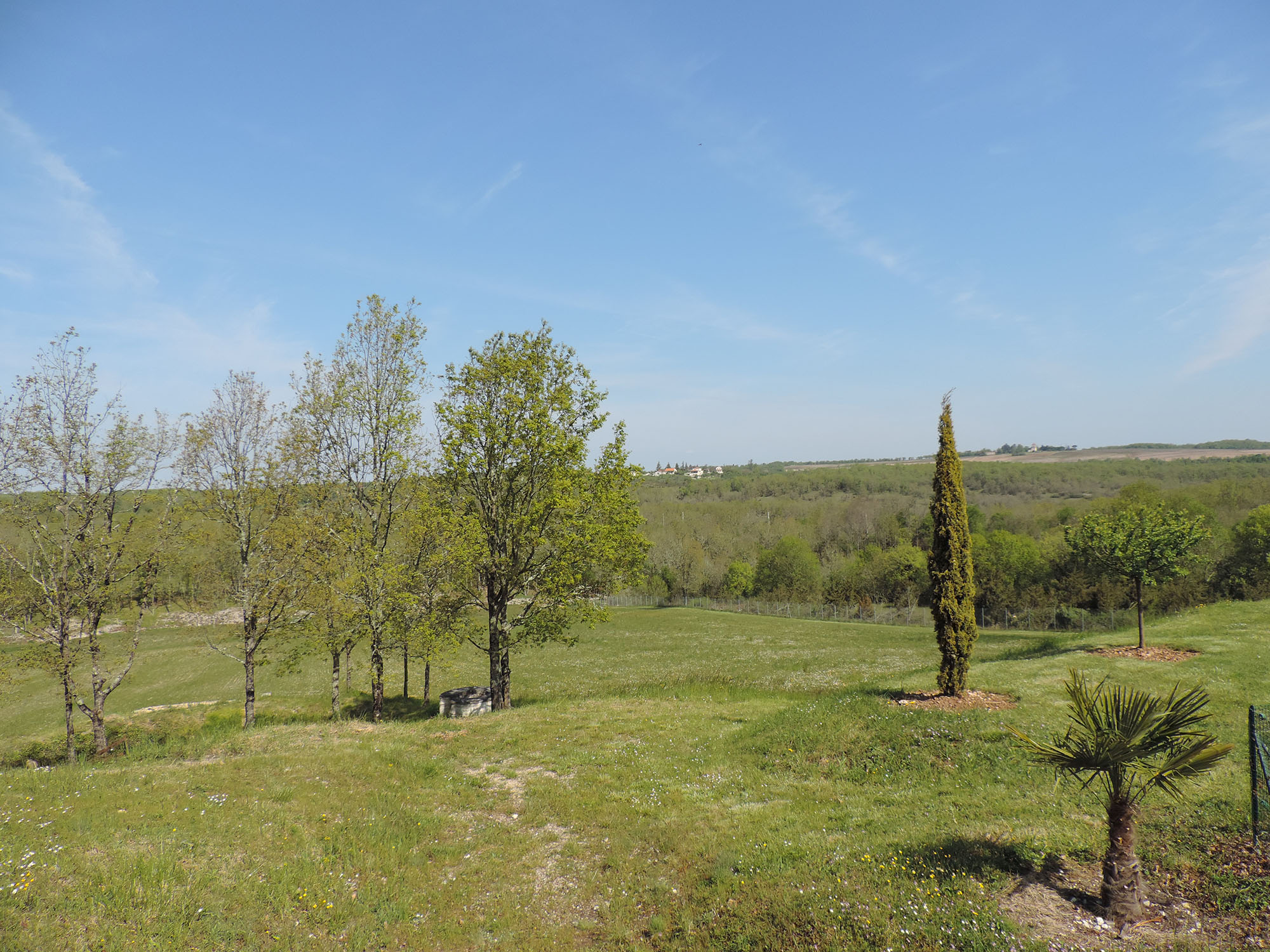 Les Lagerstroemias, Cieurac - photo 25