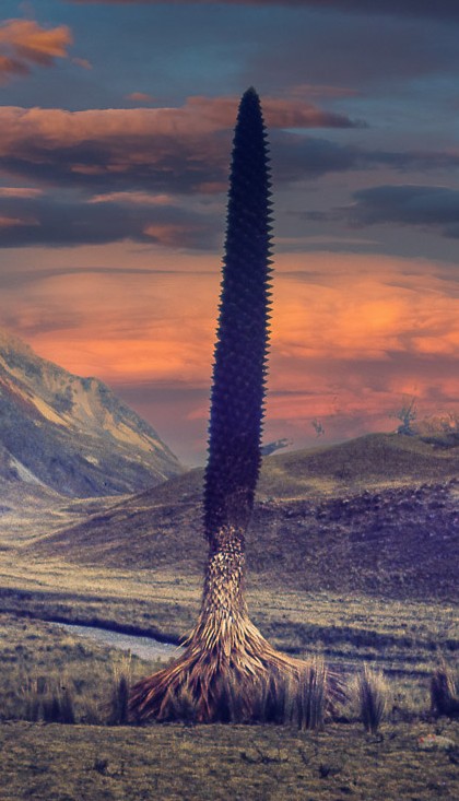 Exposition d'art contemporain de Gilles Deverchere, Jephan de Villiers, et Daniel Roblin, Cornac - photo 2