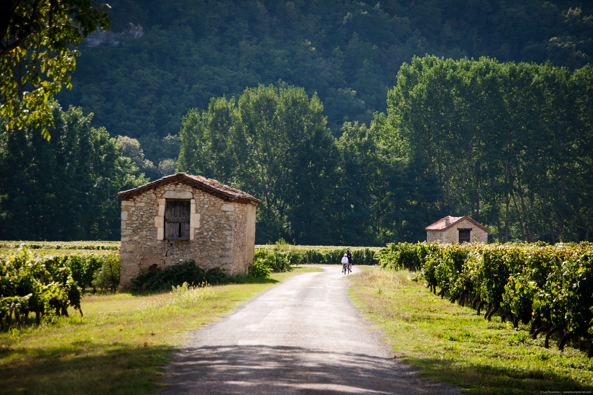 Circuit des points de vue, Douelle - photo 5
